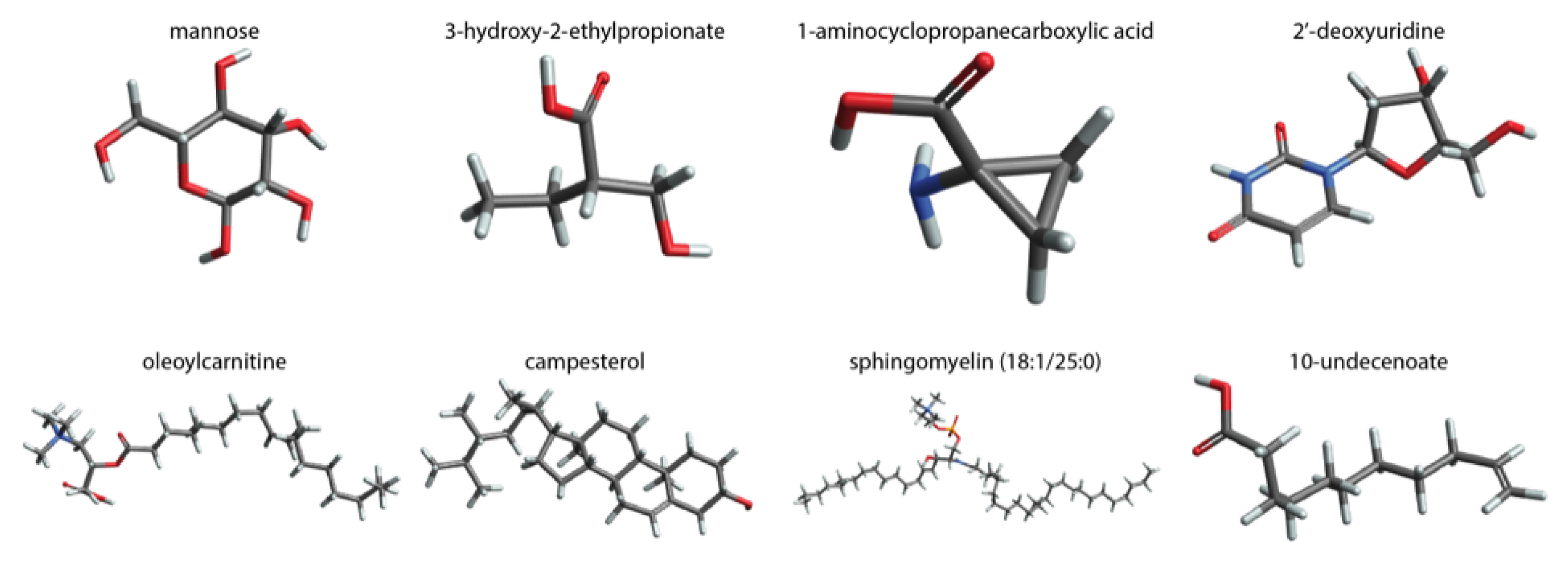 Antioxidants 12 00780 g001