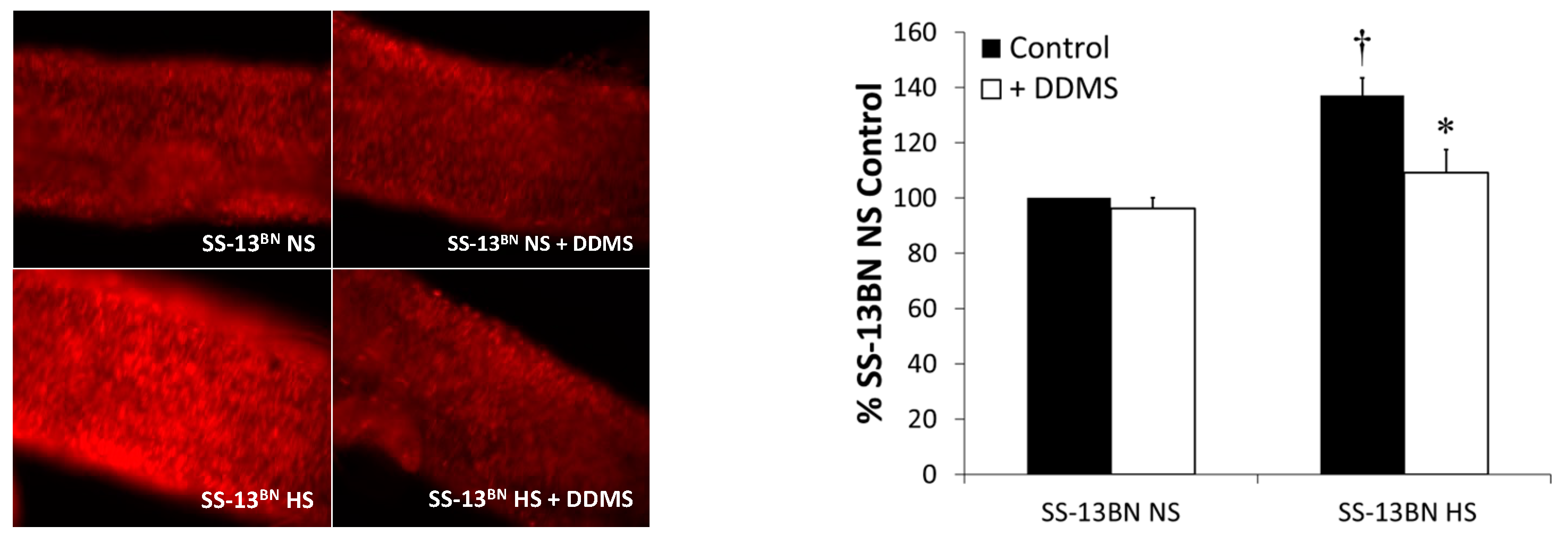 Antioxidants 12 00783 g004 Antioxidants 12 00783 g004