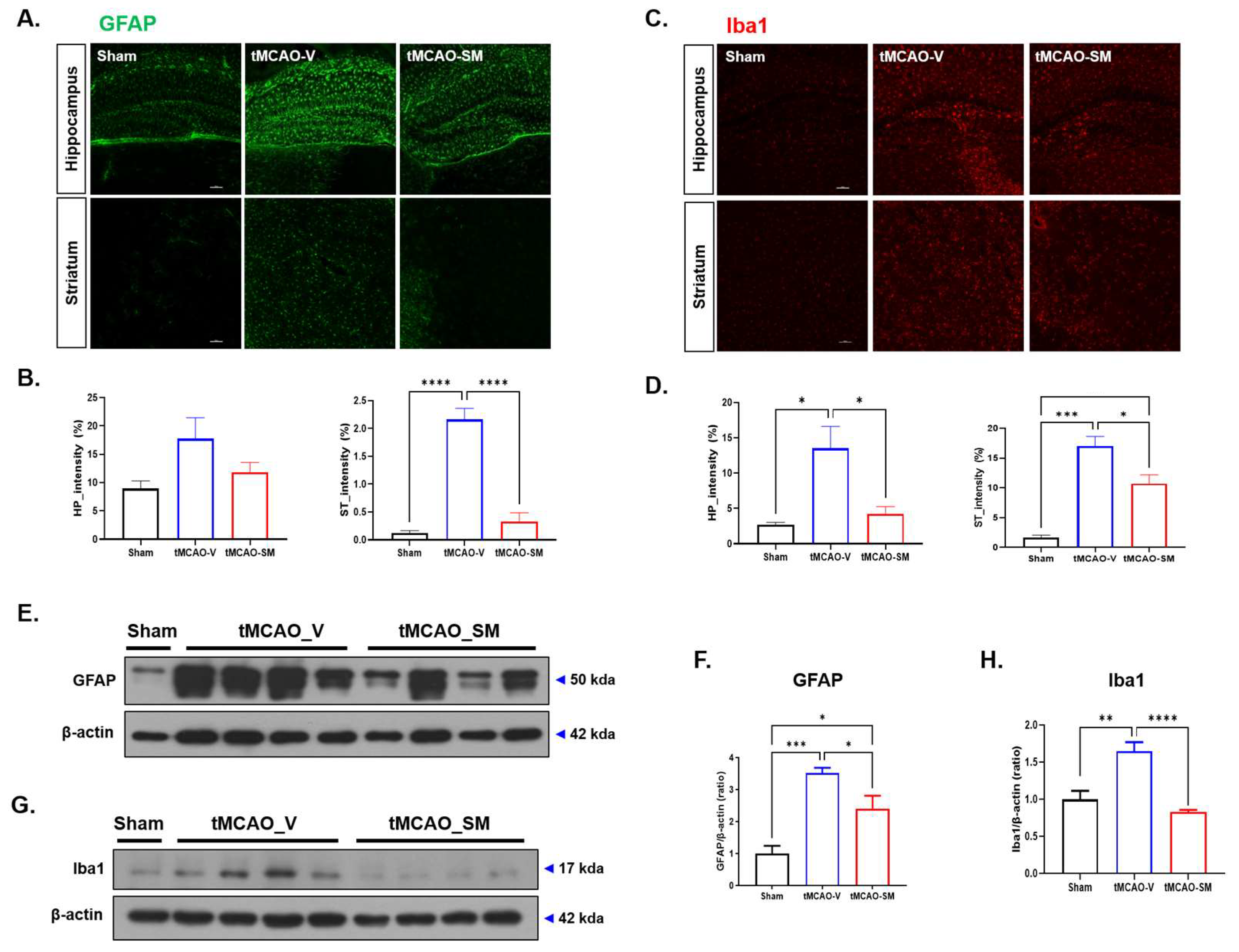 Antioxidants 12 00785 g002 Antioxidants 12 00785 g002