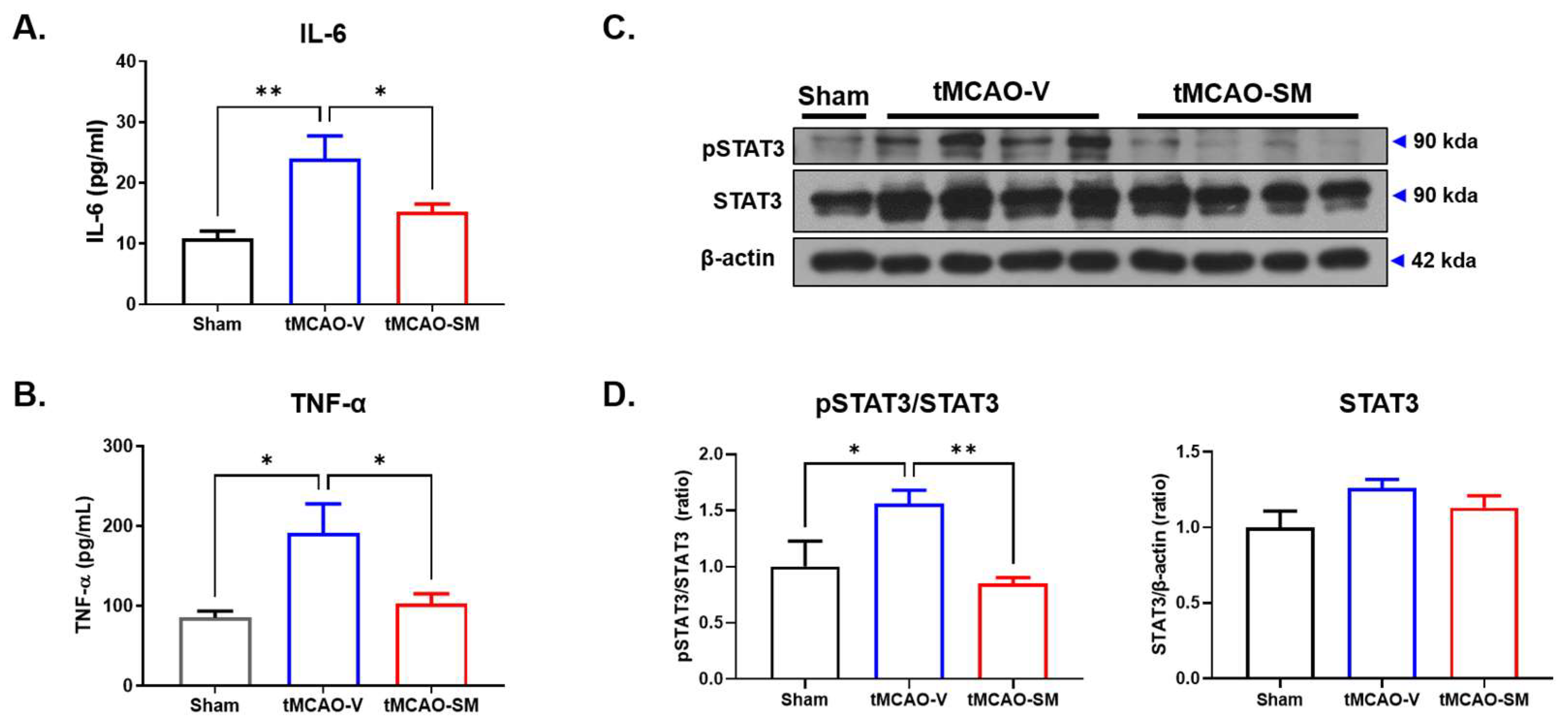 Antioxidants 12 00785 g003 Antioxidants 12 00785 g003