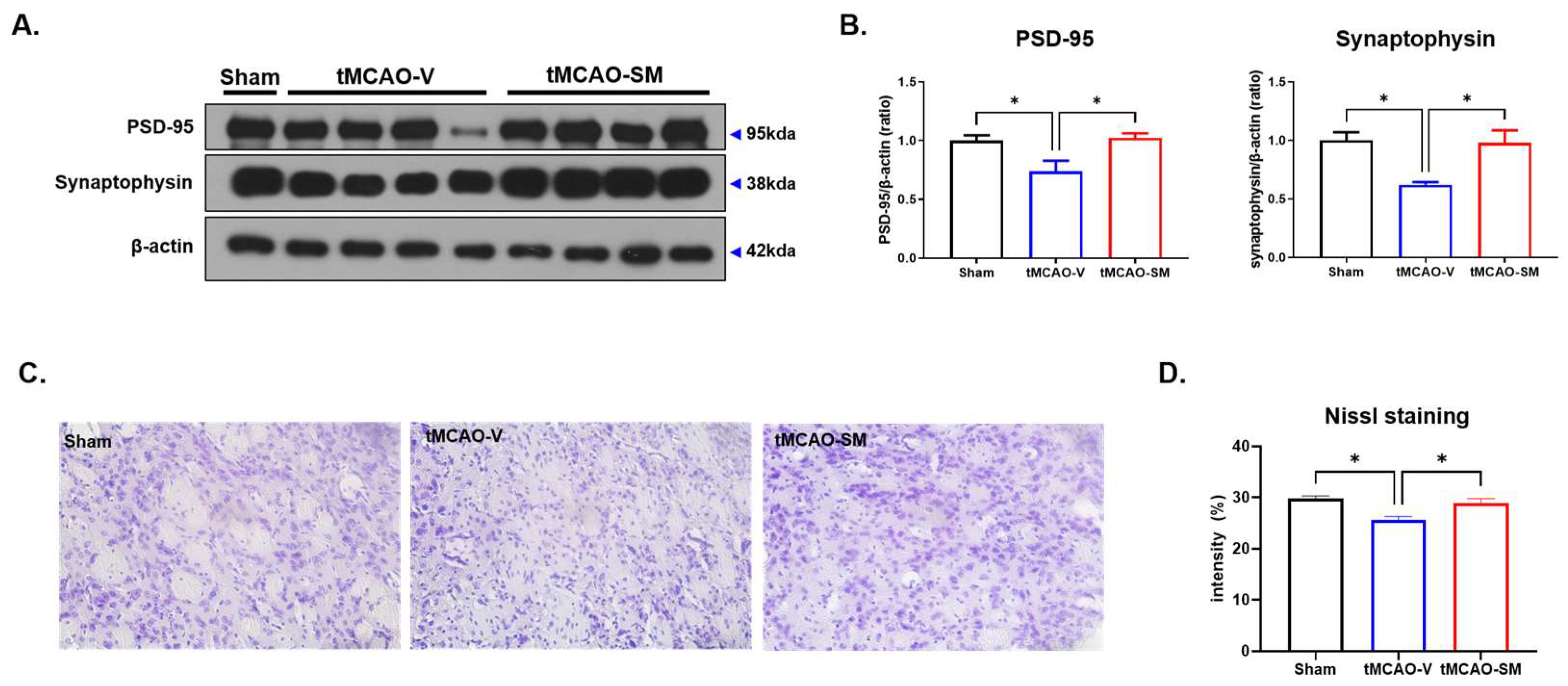 Antioxidants 12 00785 g005 Antioxidants 12 00785 g005