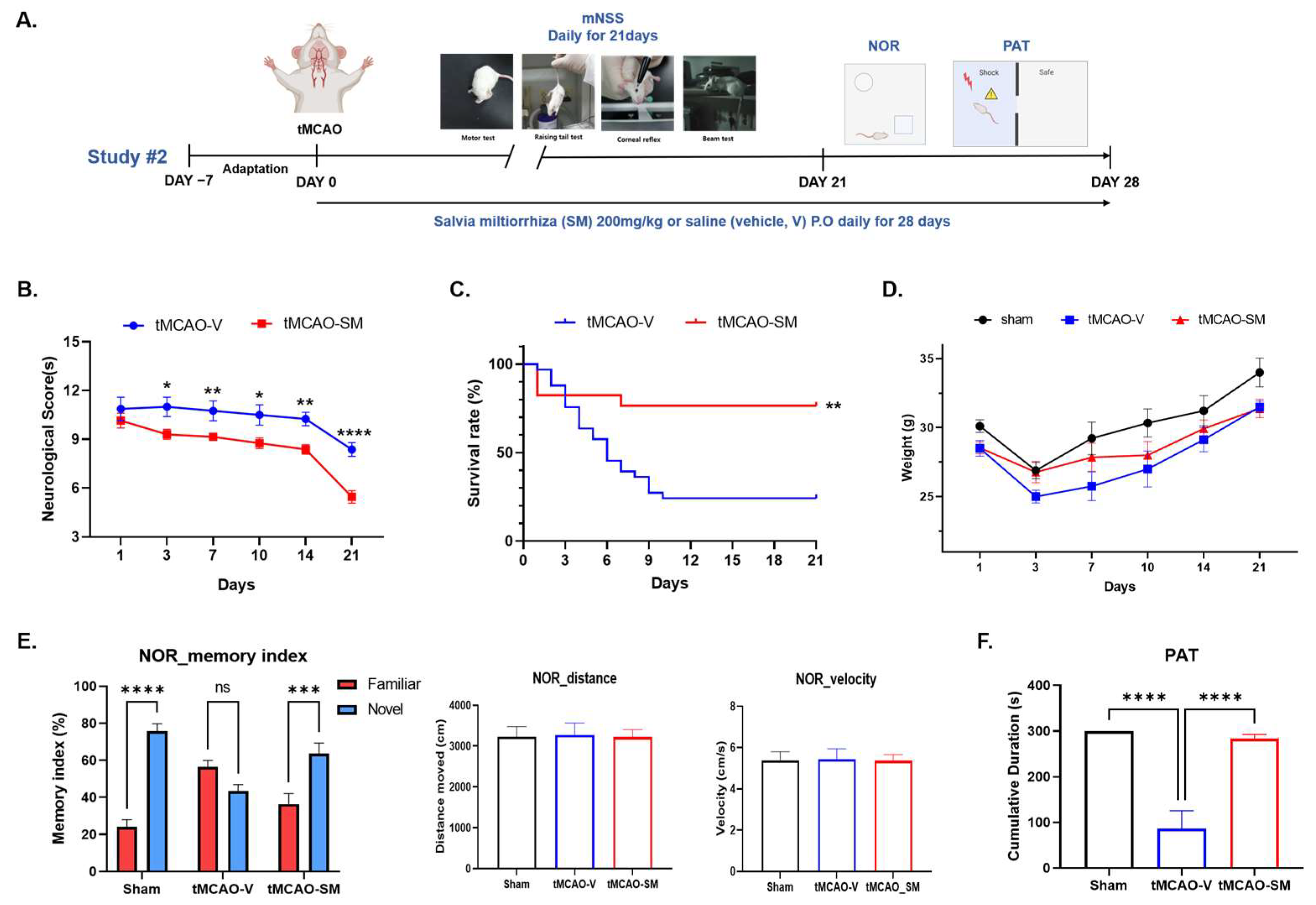 Antioxidants 12 00785 g006 Antioxidants 12 00785 g006