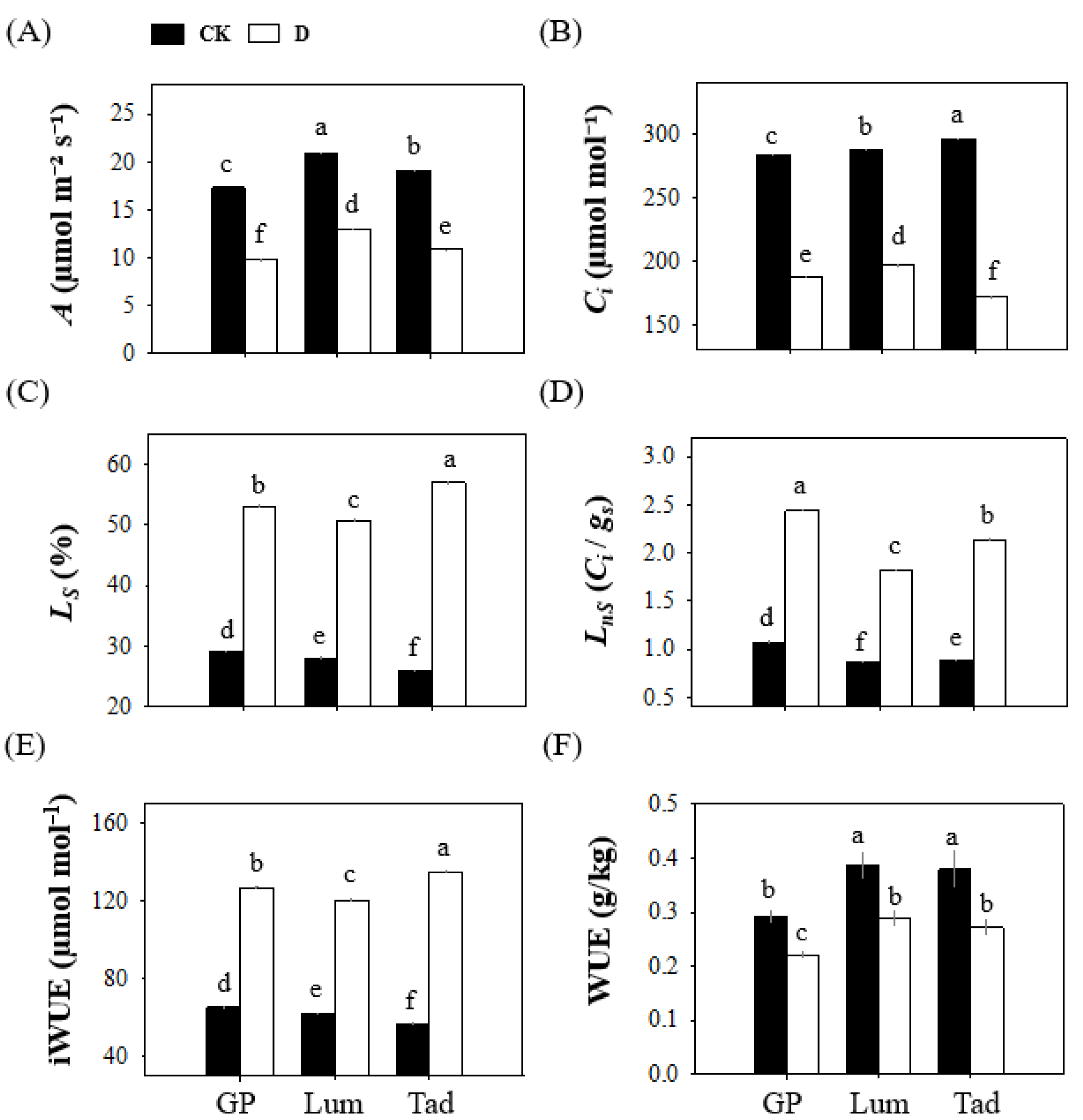 Antioxidants 12 00790 g003 Antioxidants 12 00790 g003