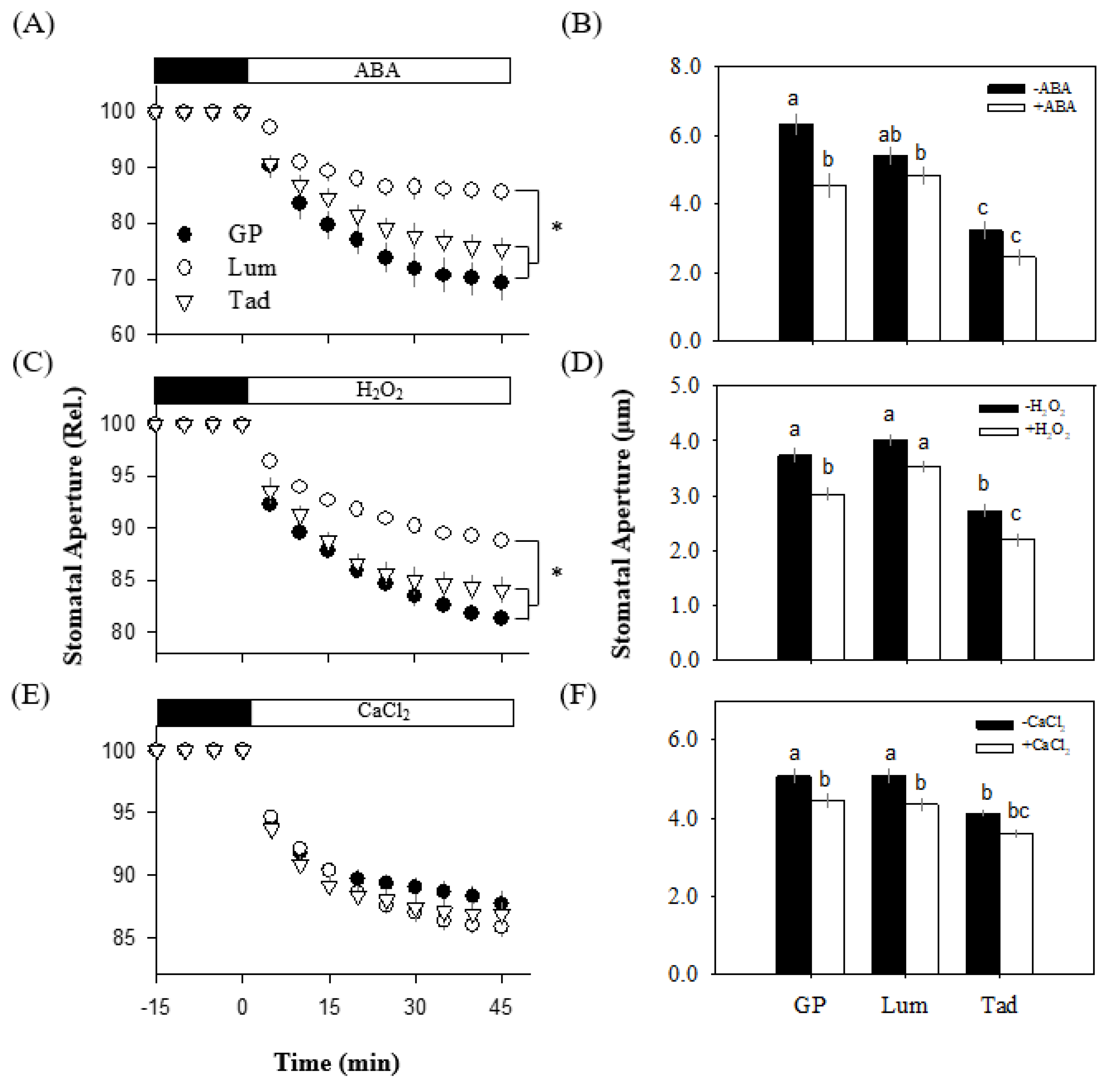 Antioxidants 12 00790 g005 Antioxidants 12 00790 g005