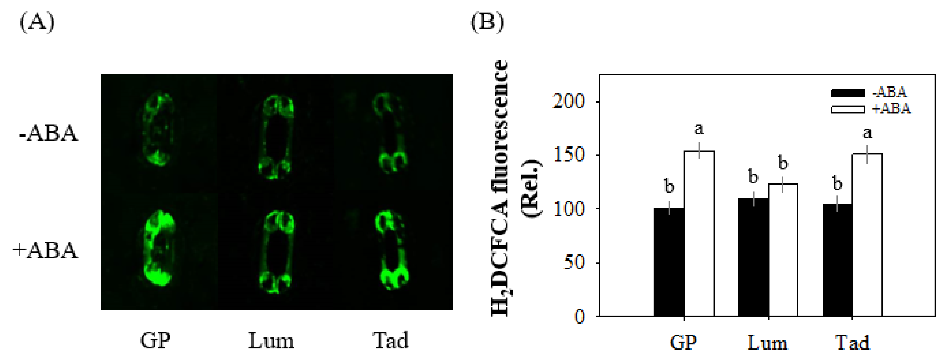 Antioxidants 12 00790 g007 Antioxidants 12 00790 g007