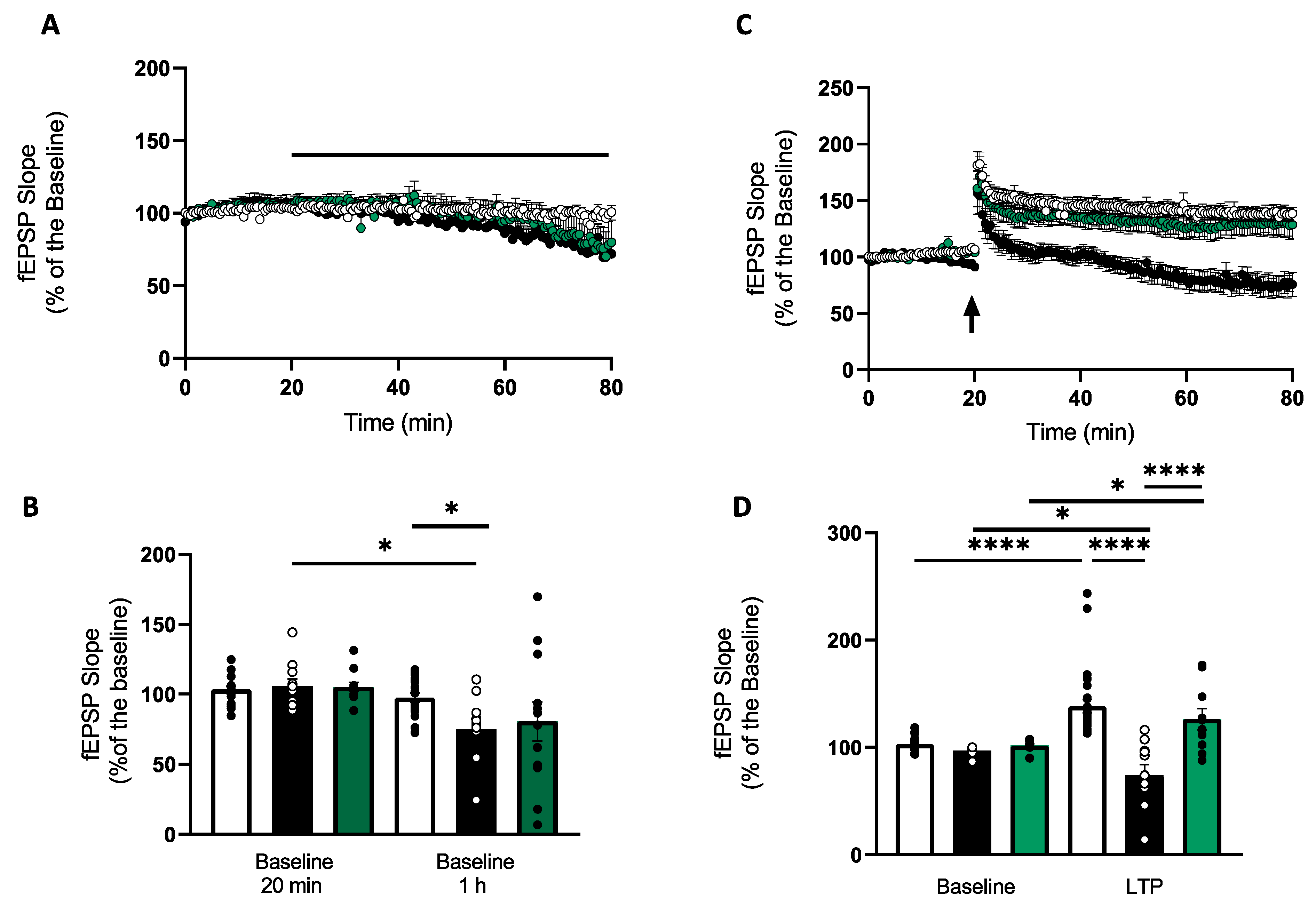 Antioxidants 12 00792 g001 Antioxidants 12 00792 g001