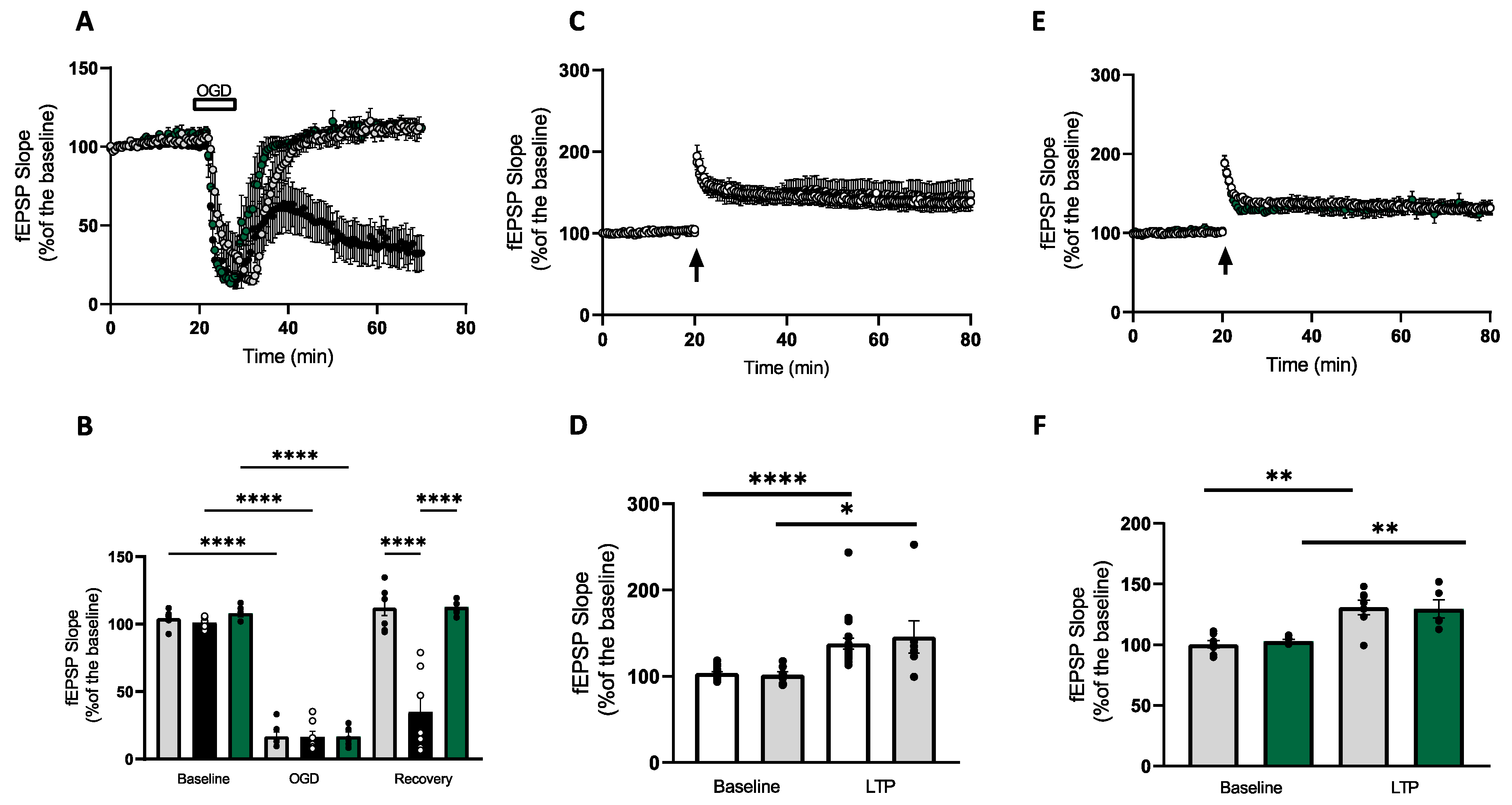 Antioxidants 12 00792 g002 Antioxidants 12 00792 g002