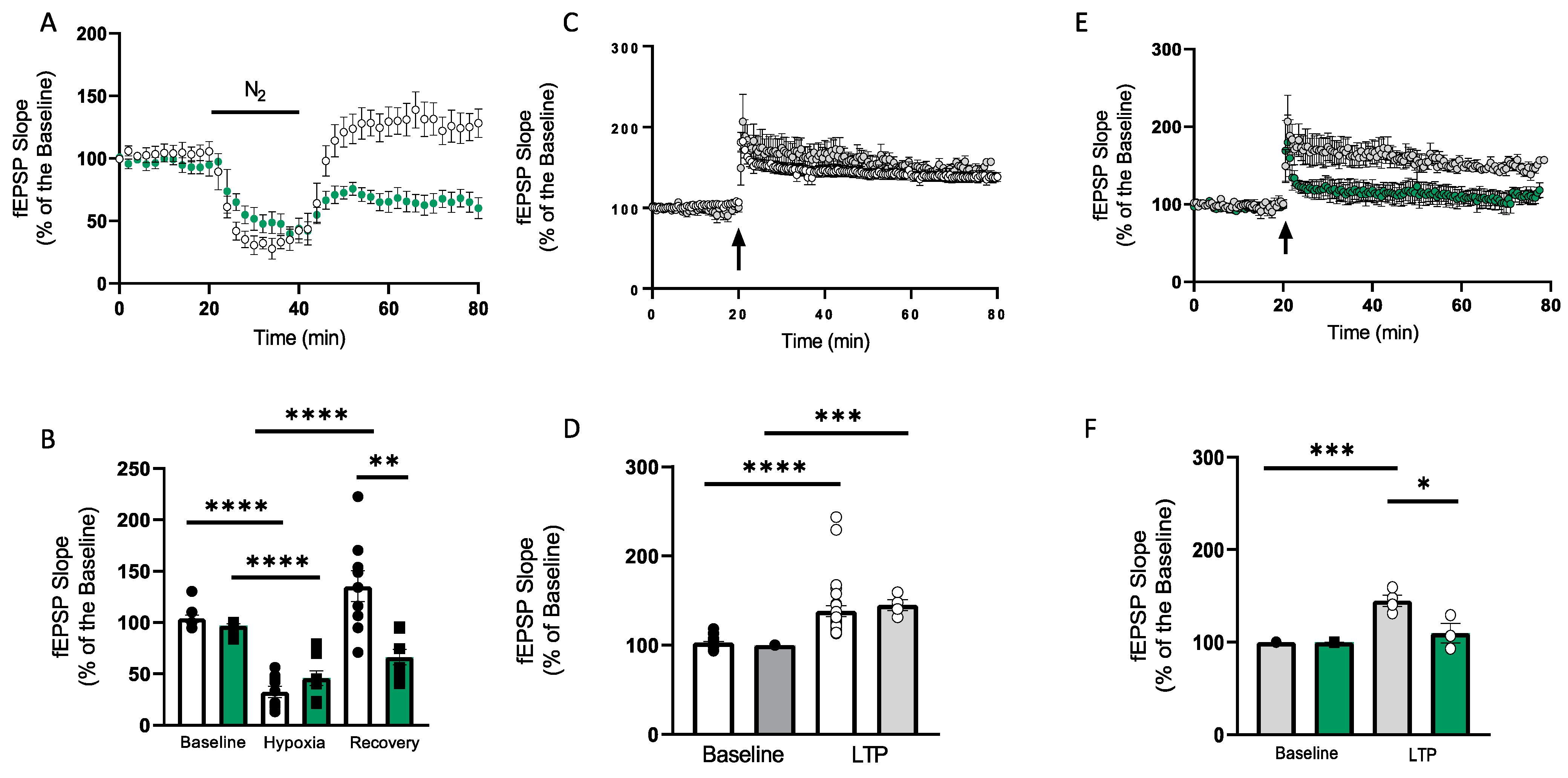 Antioxidants 12 00792 g003 Antioxidants 12 00792 g003