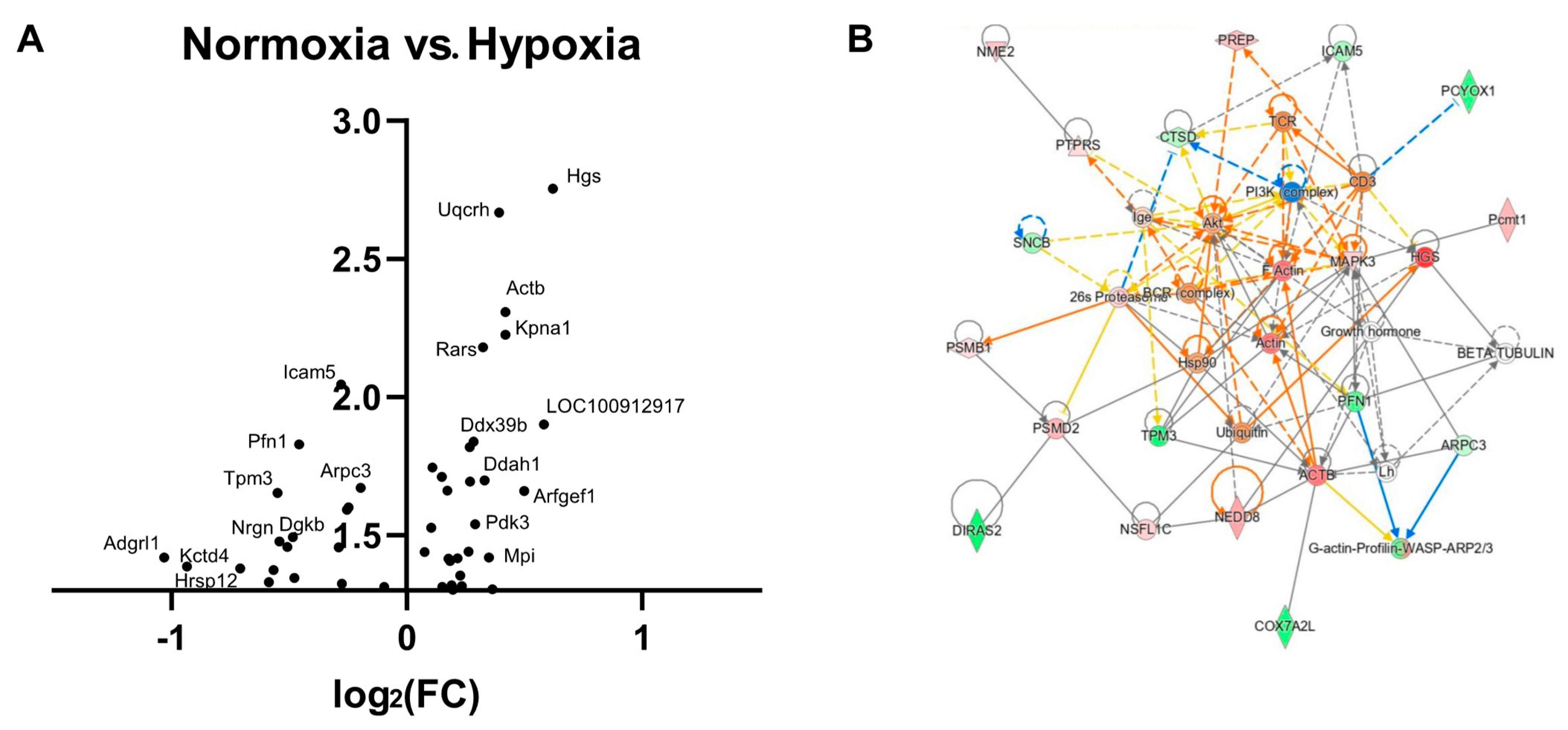 Antioxidants 12 00792 g004 Antioxidants 12 00792 g004
