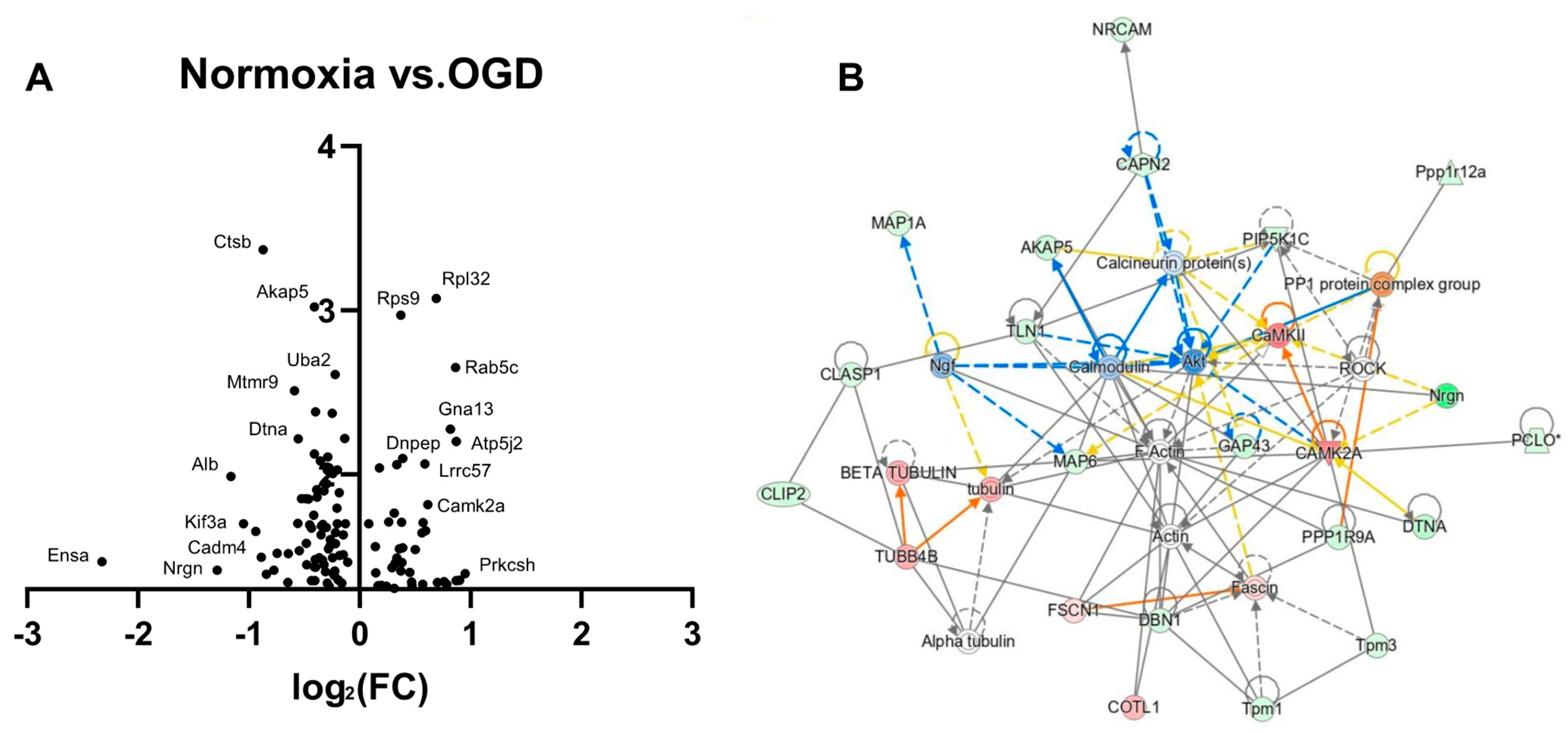 Antioxidants 12 00792 g005 Antioxidants 12 00792 g005