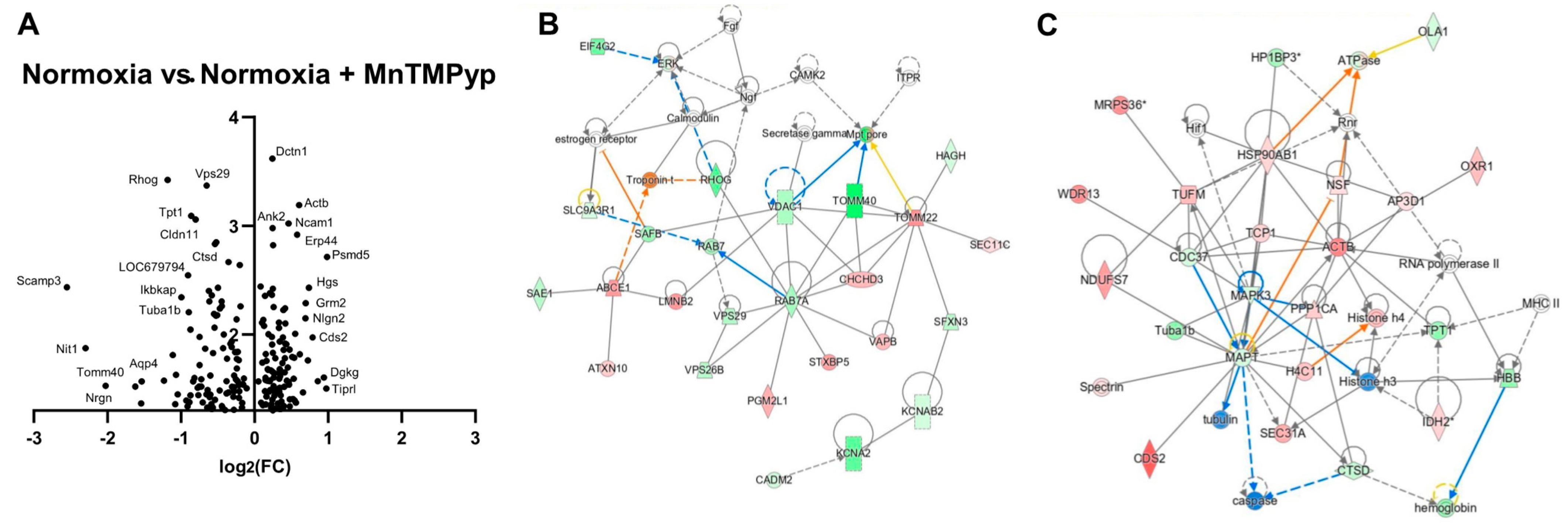 Antioxidants 12 00792 g006 Antioxidants 12 00792 g006