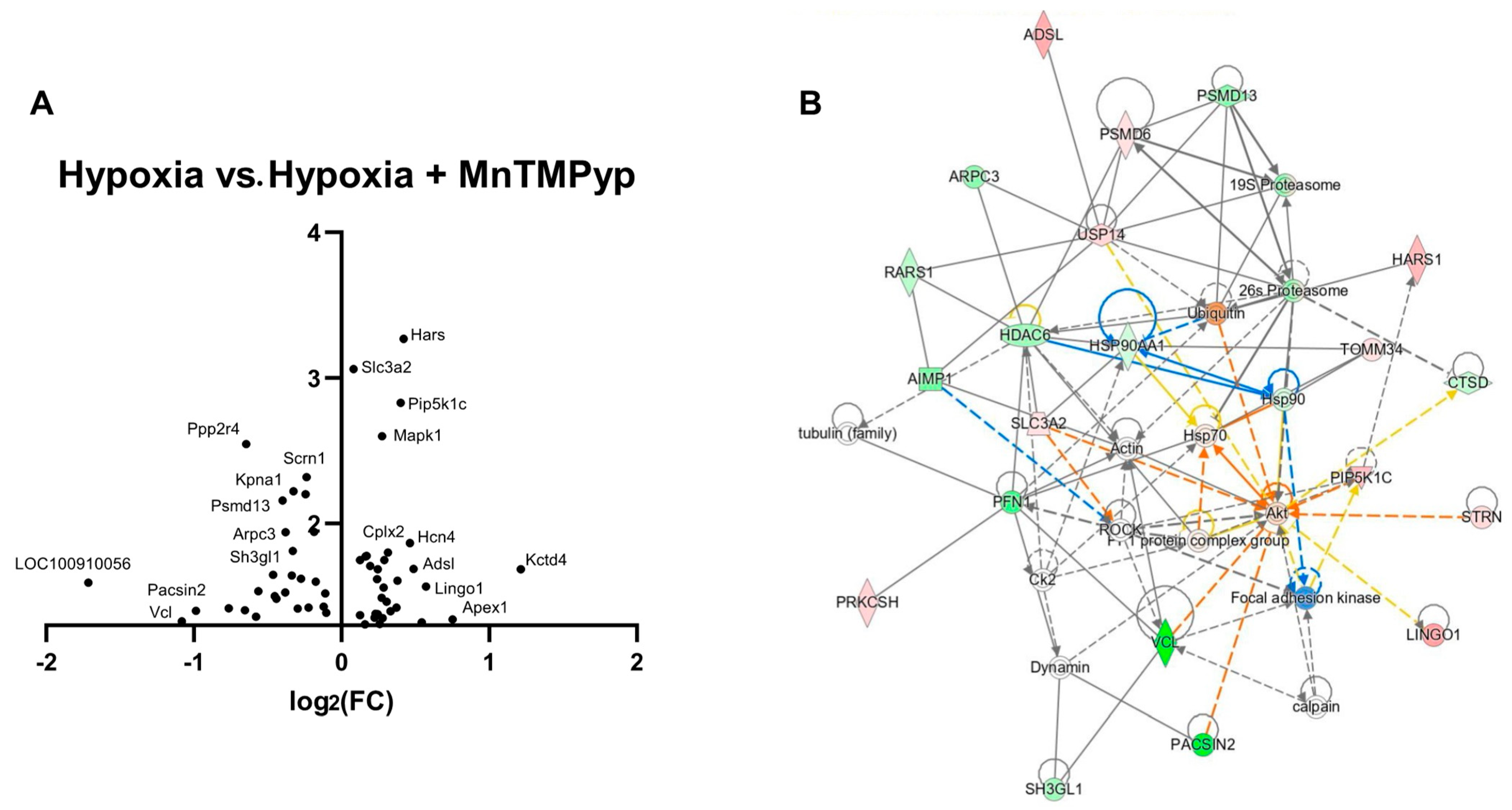 Antioxidants 12 00792 g007 Antioxidants 12 00792 g007