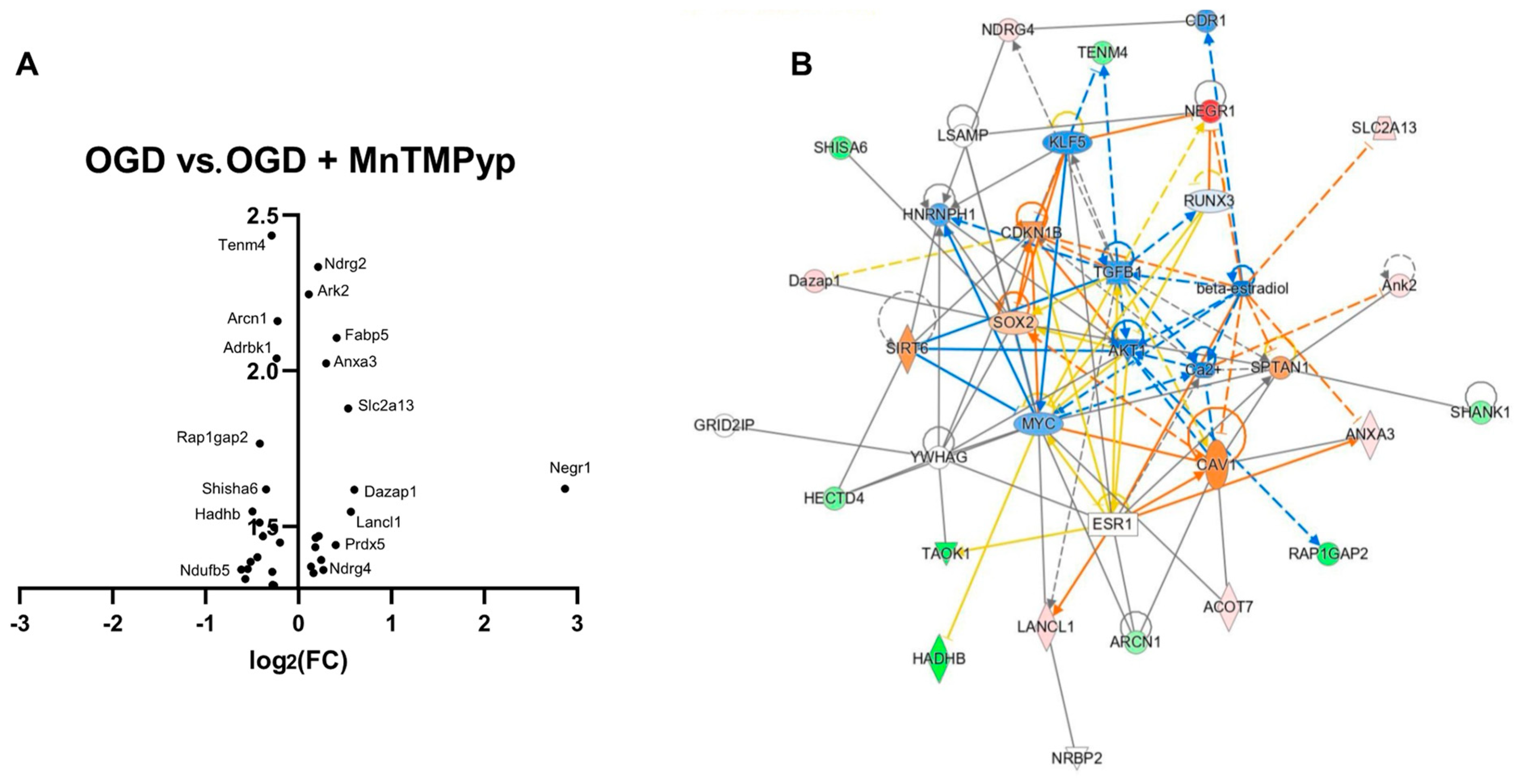 Antioxidants 12 00792 g008 Antioxidants 12 00792 g008
