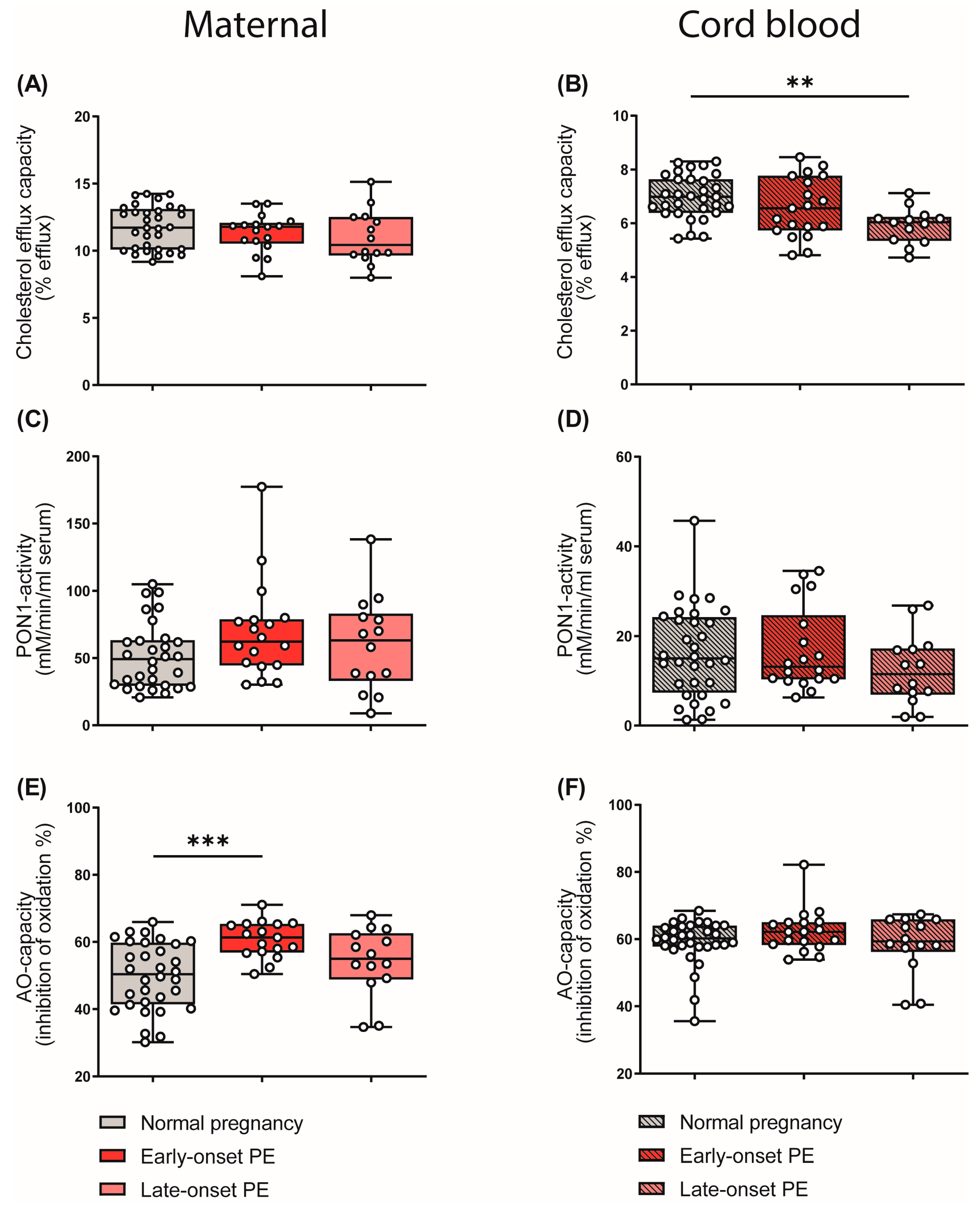 Antioxidants 12 00795 g006 Antioxidants 12 00795 g006