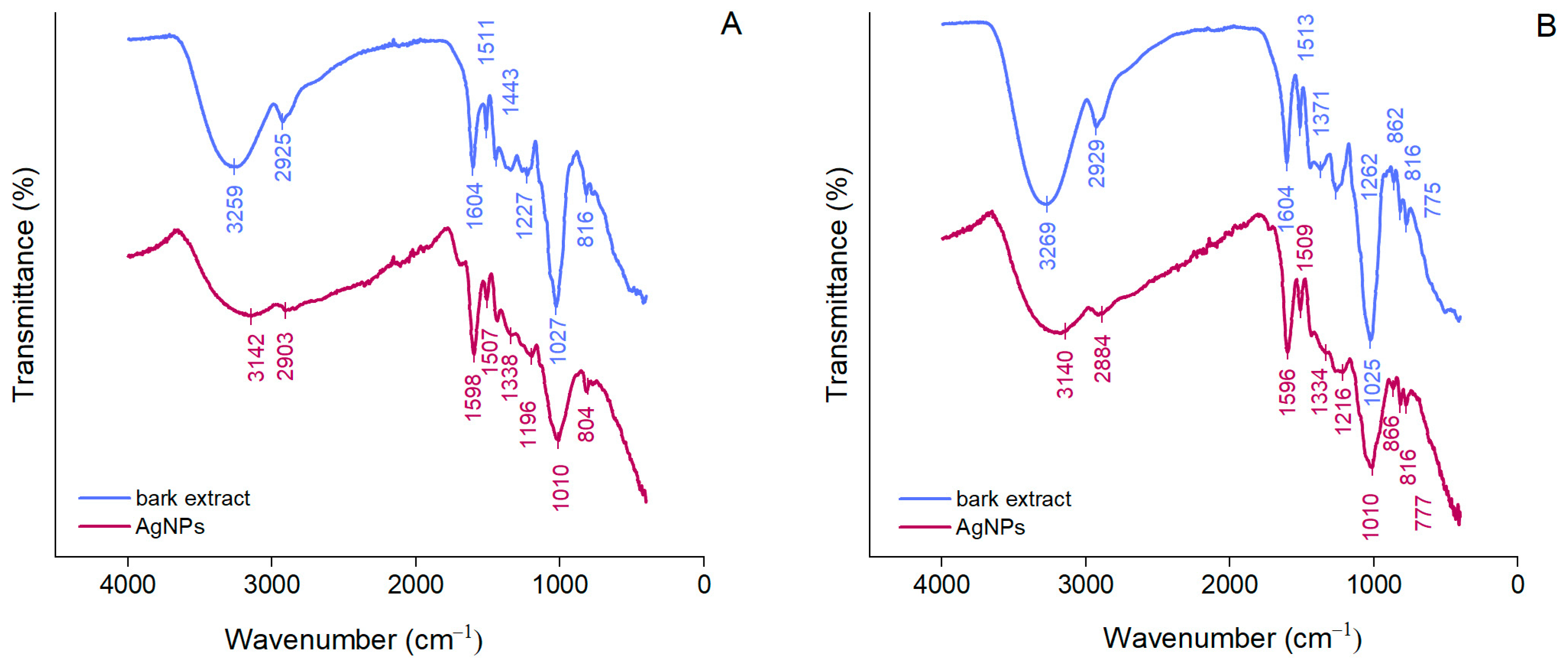 Antioxidants 12 00797 g002 Antioxidants 12 00797 g002