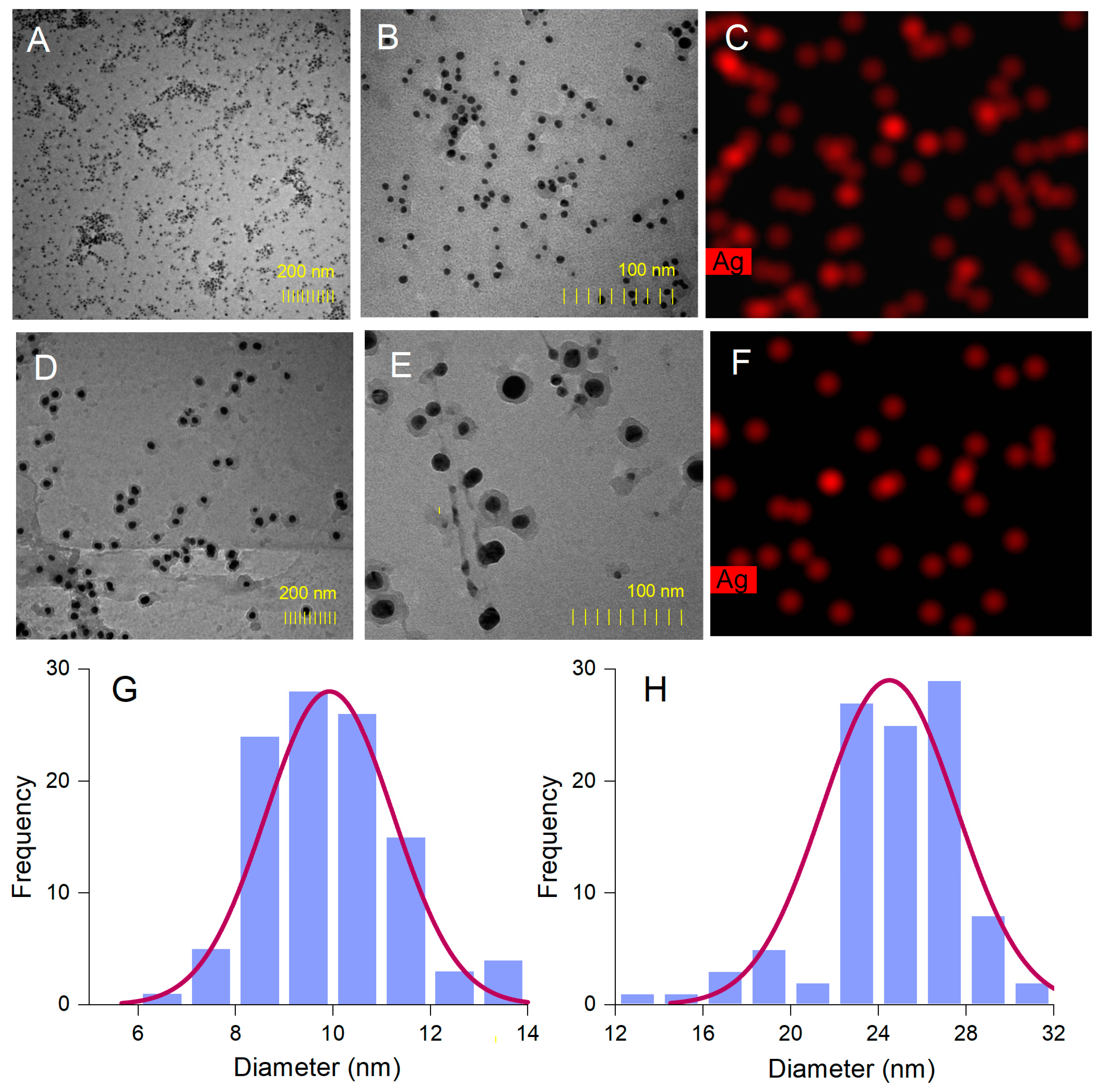 Antioxidants 12 00797 g005 Antioxidants 12 00797 g005