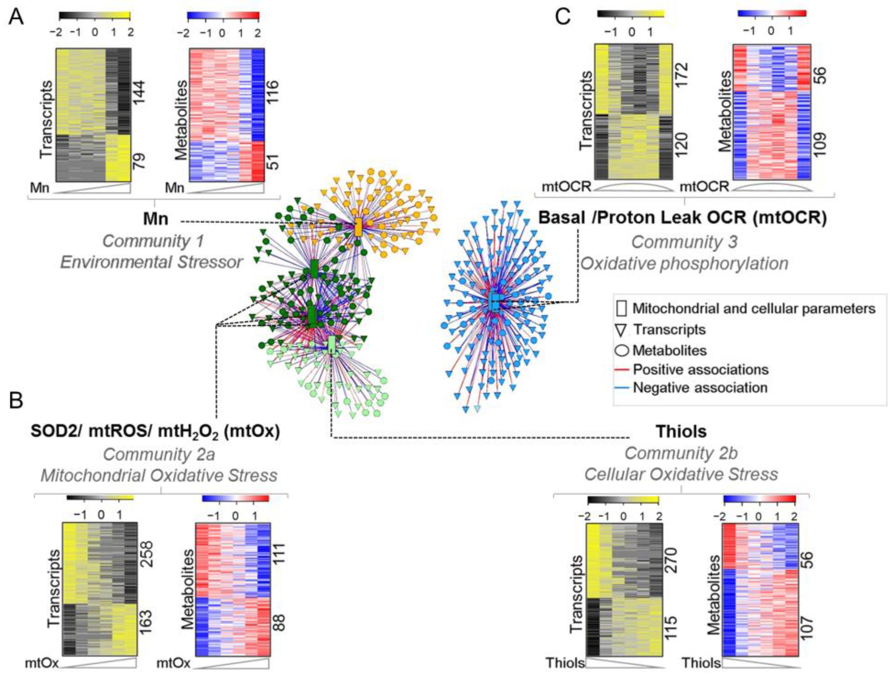 Antioxidants 12 00804 g001 Antioxidants 12 00804 g001