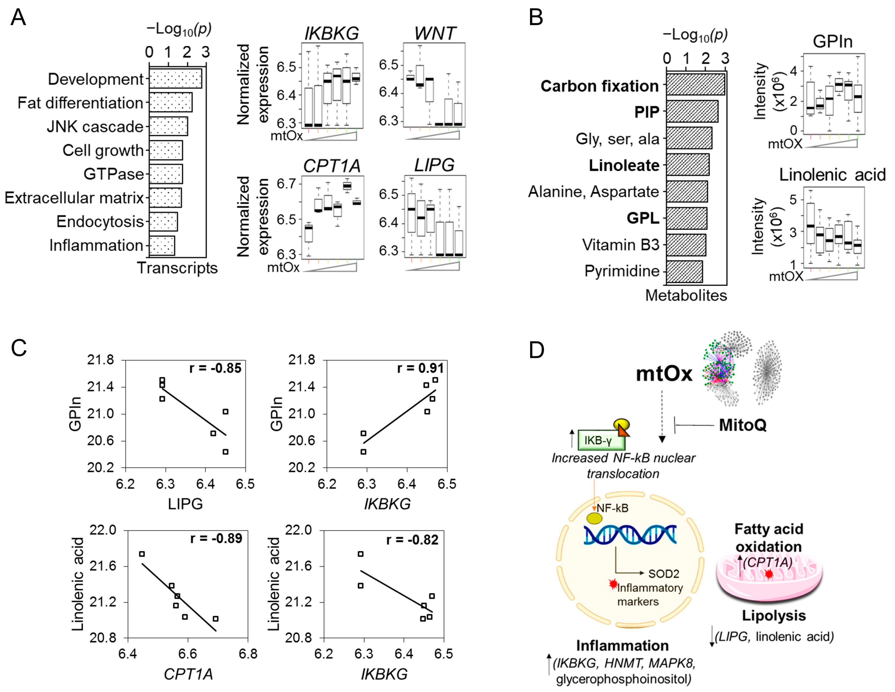 Antioxidants 12 00804 g003 Antioxidants 12 00804 g003