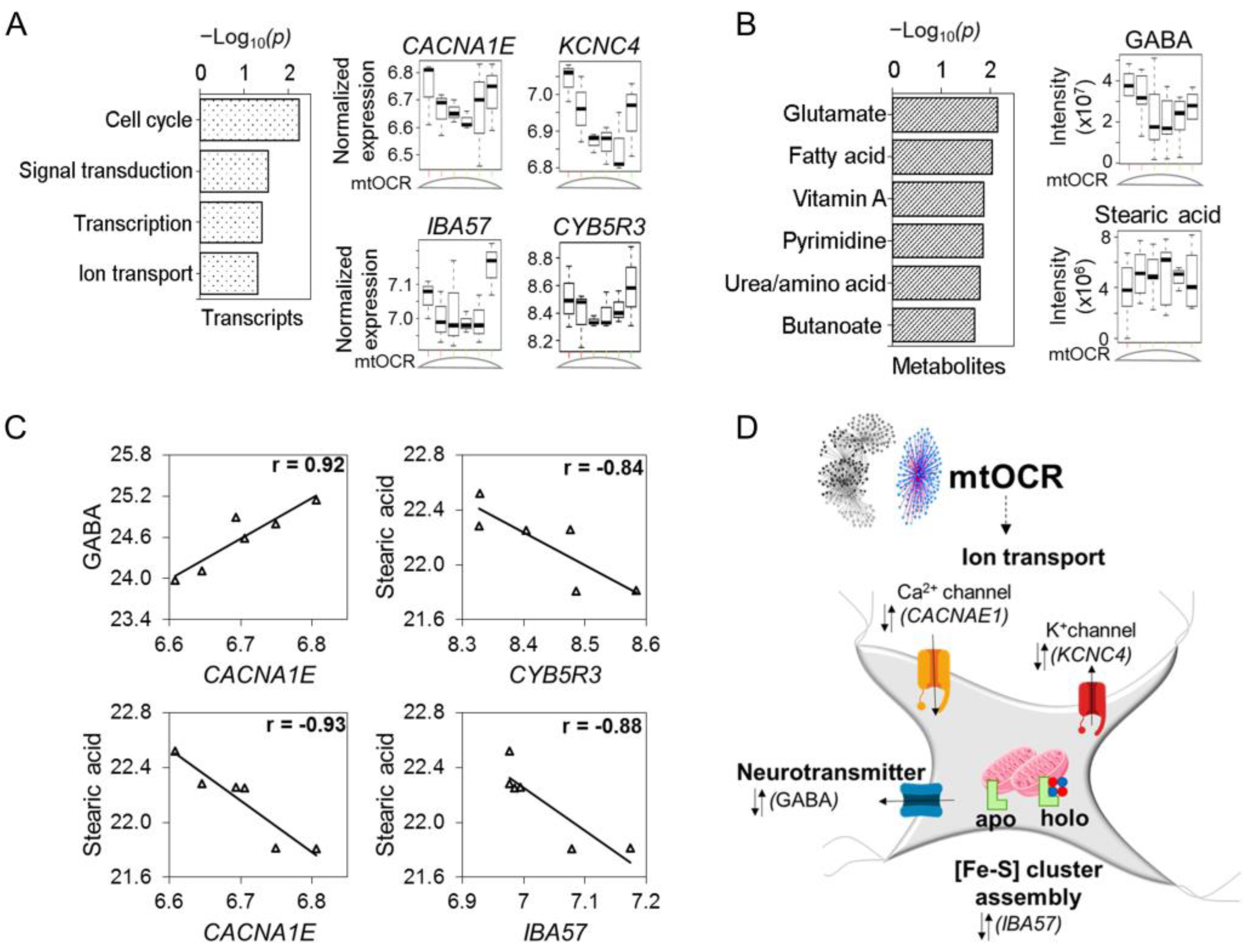 Antioxidants 12 00804 g005 Antioxidants 12 00804 g005