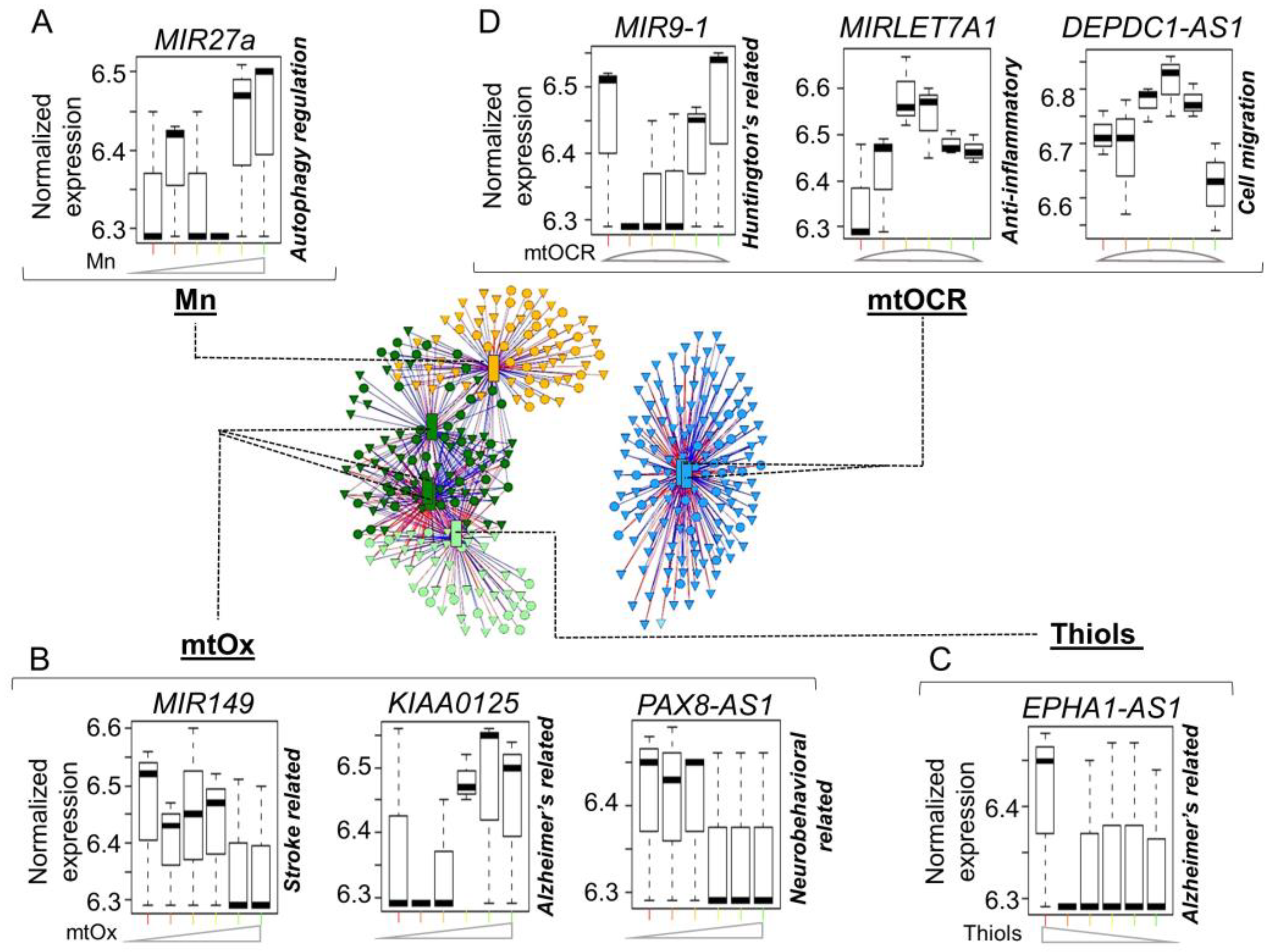 Antioxidants 12 00804 g006 Antioxidants 12 00804 g006