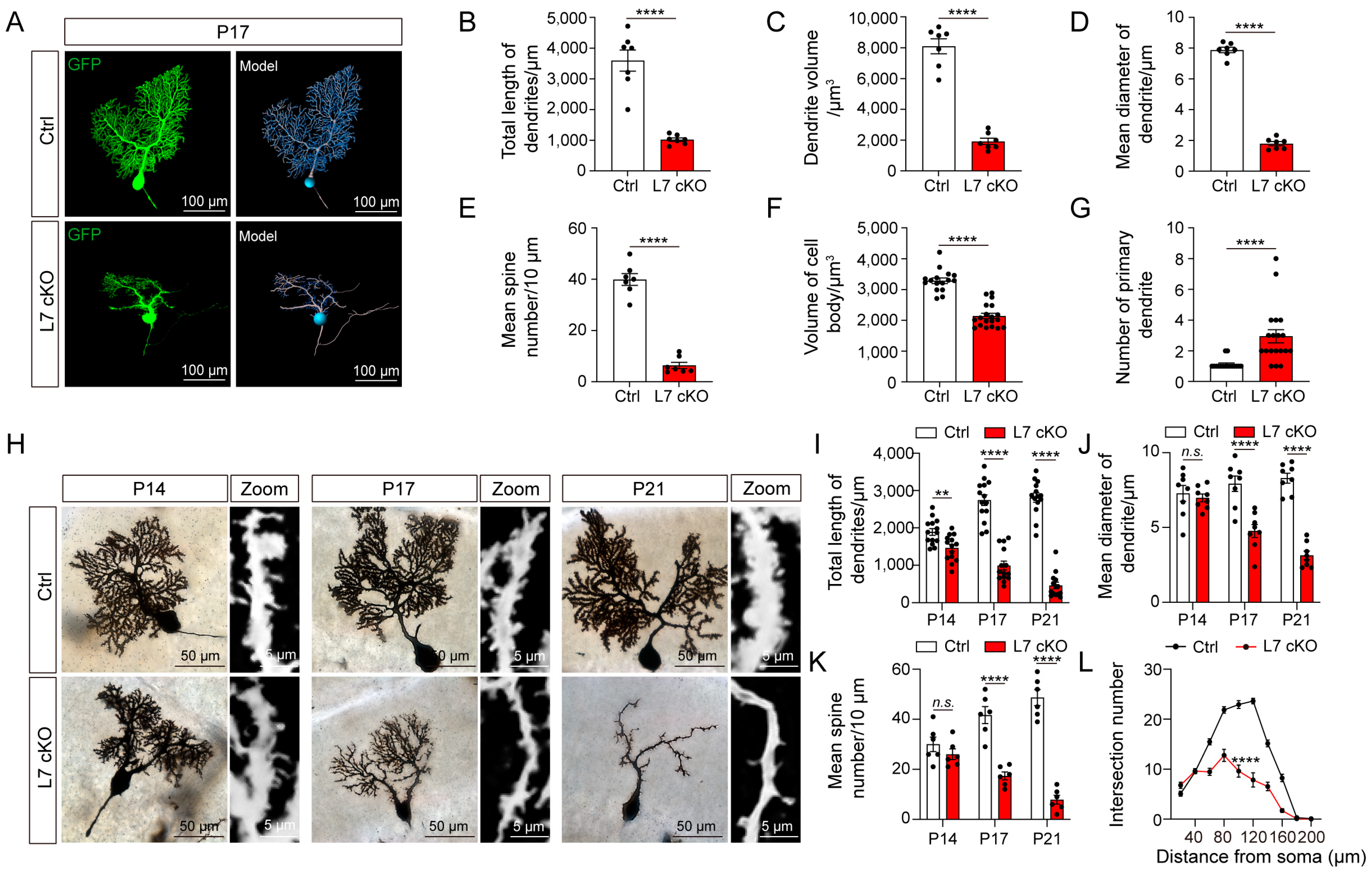 Antioxidants 12 00806 g003