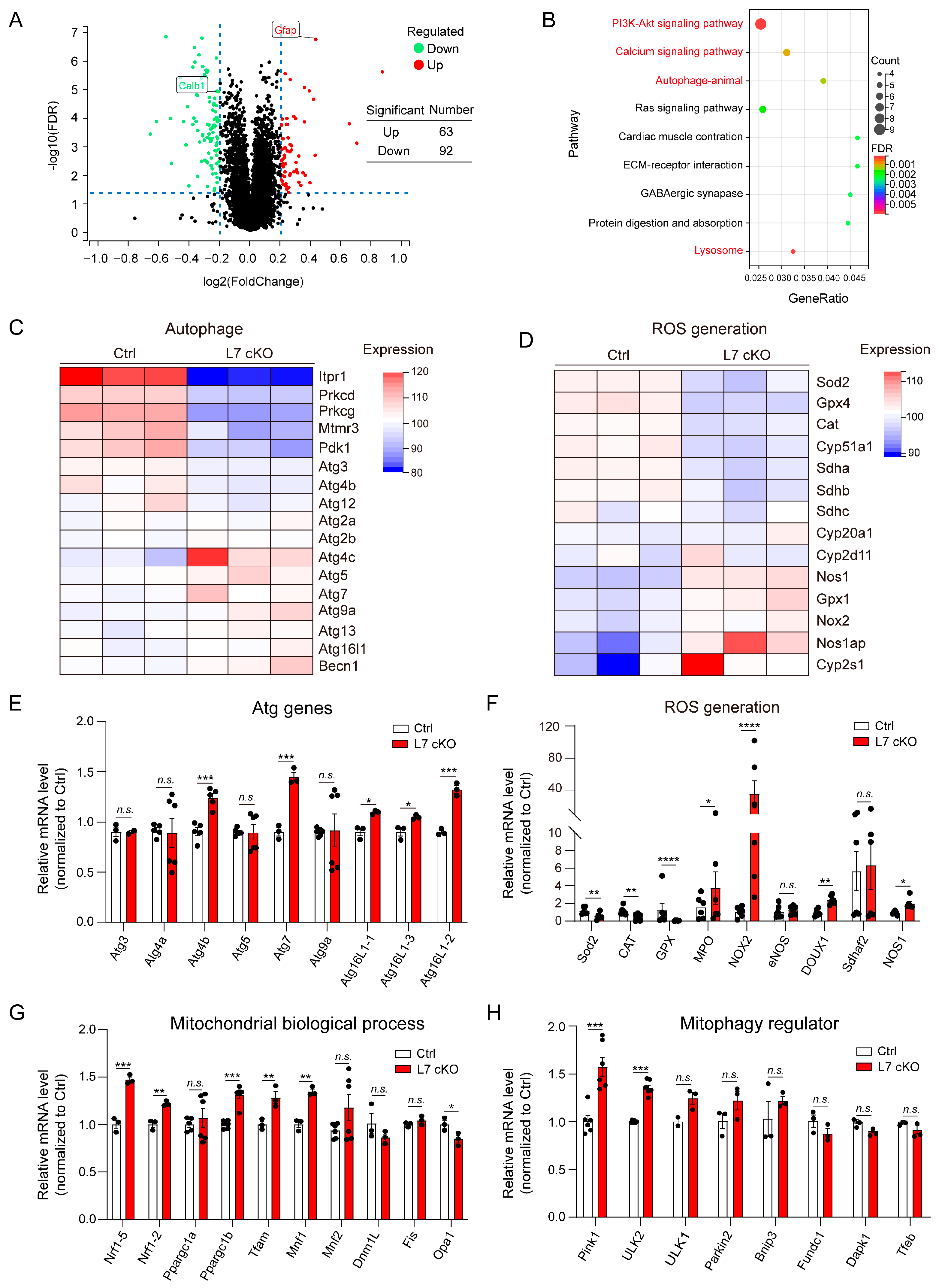 Antioxidants 12 00806 g004