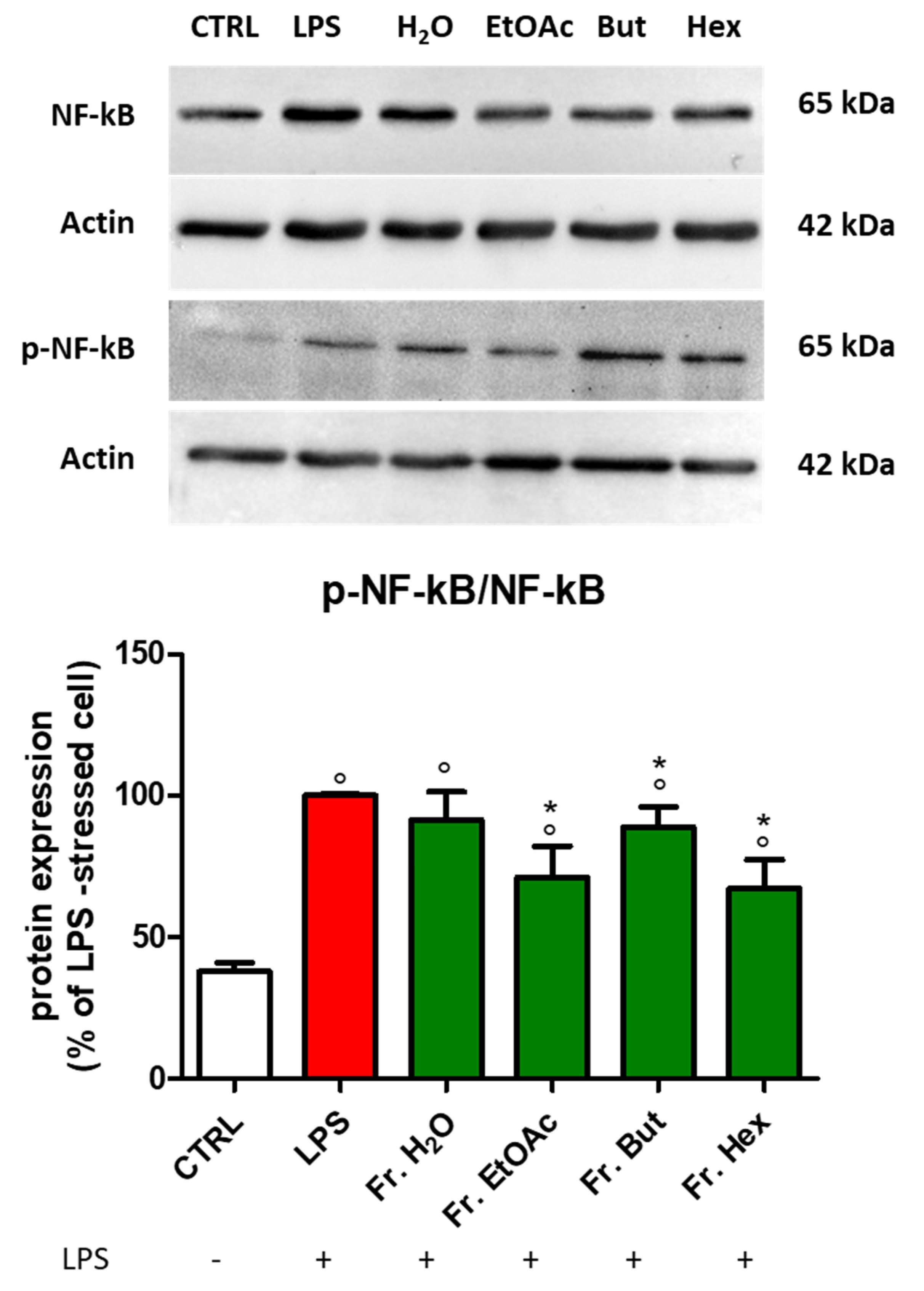 Antioxidants 12 00808 g010 Antioxidants 12 00808 g010