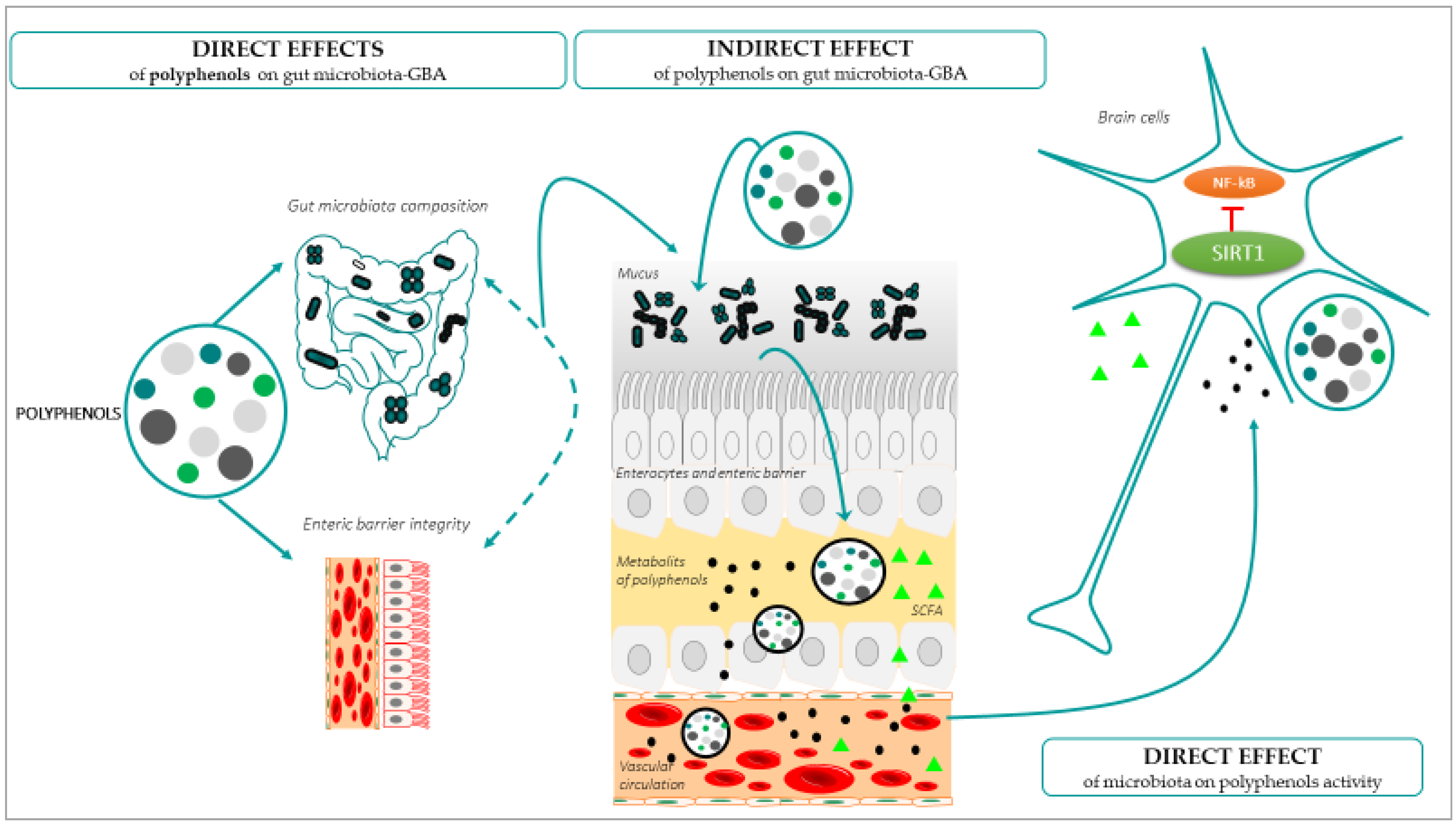 Antioxidants 12 00812 g003 Antioxidants 12 00812 g003