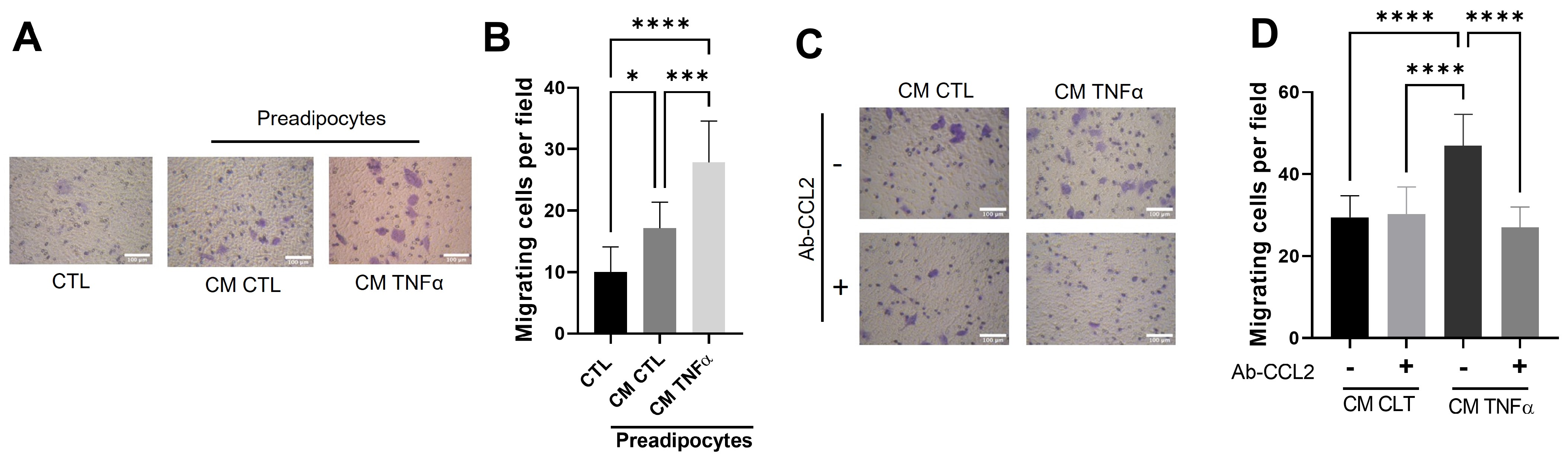 Antioxidants 12 00813 g005 Antioxidants 12 00813 g005