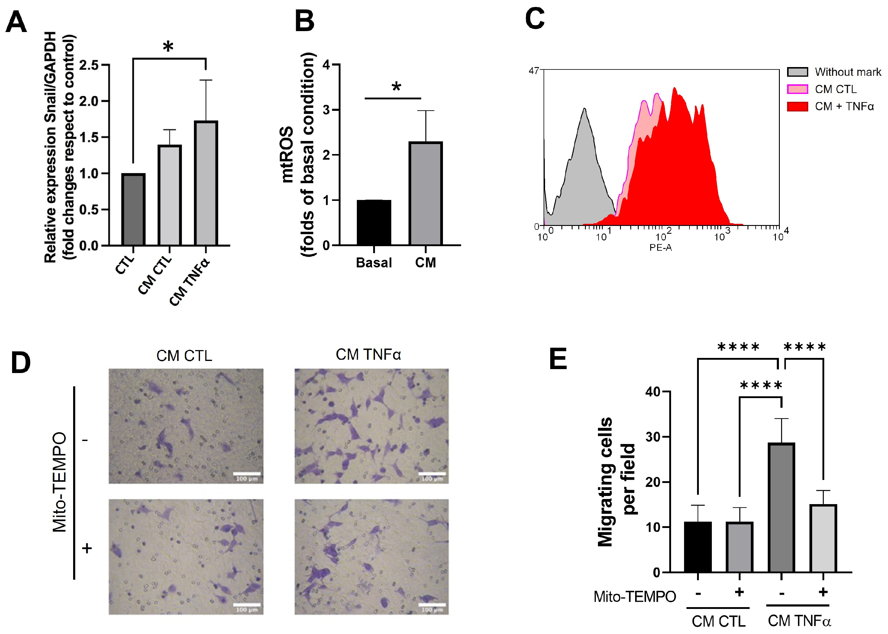 Antioxidants 12 00813 g006 Antioxidants 12 00813 g006