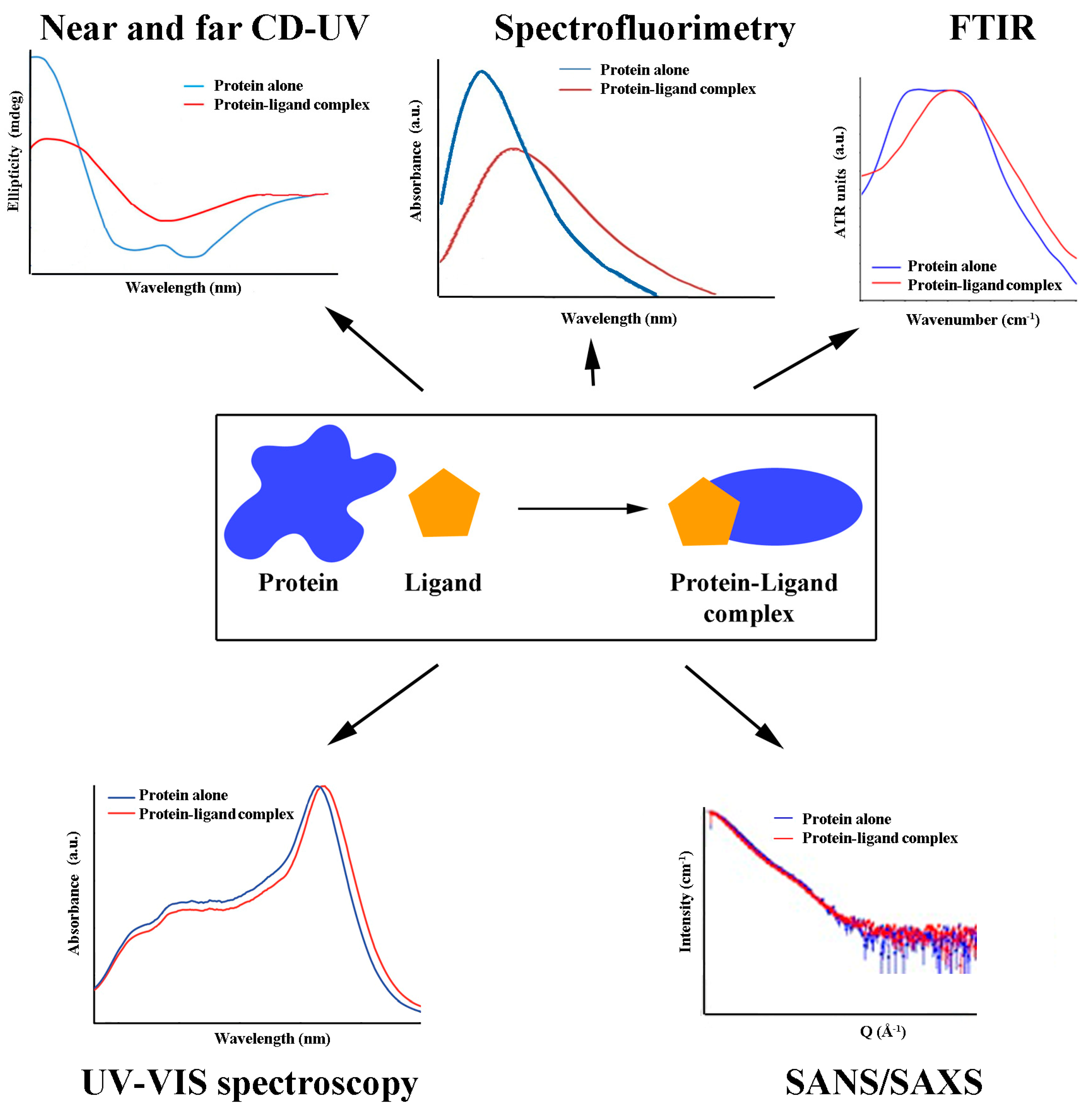 How Digestive Processes Can Affect the Bioavailability of PCBs