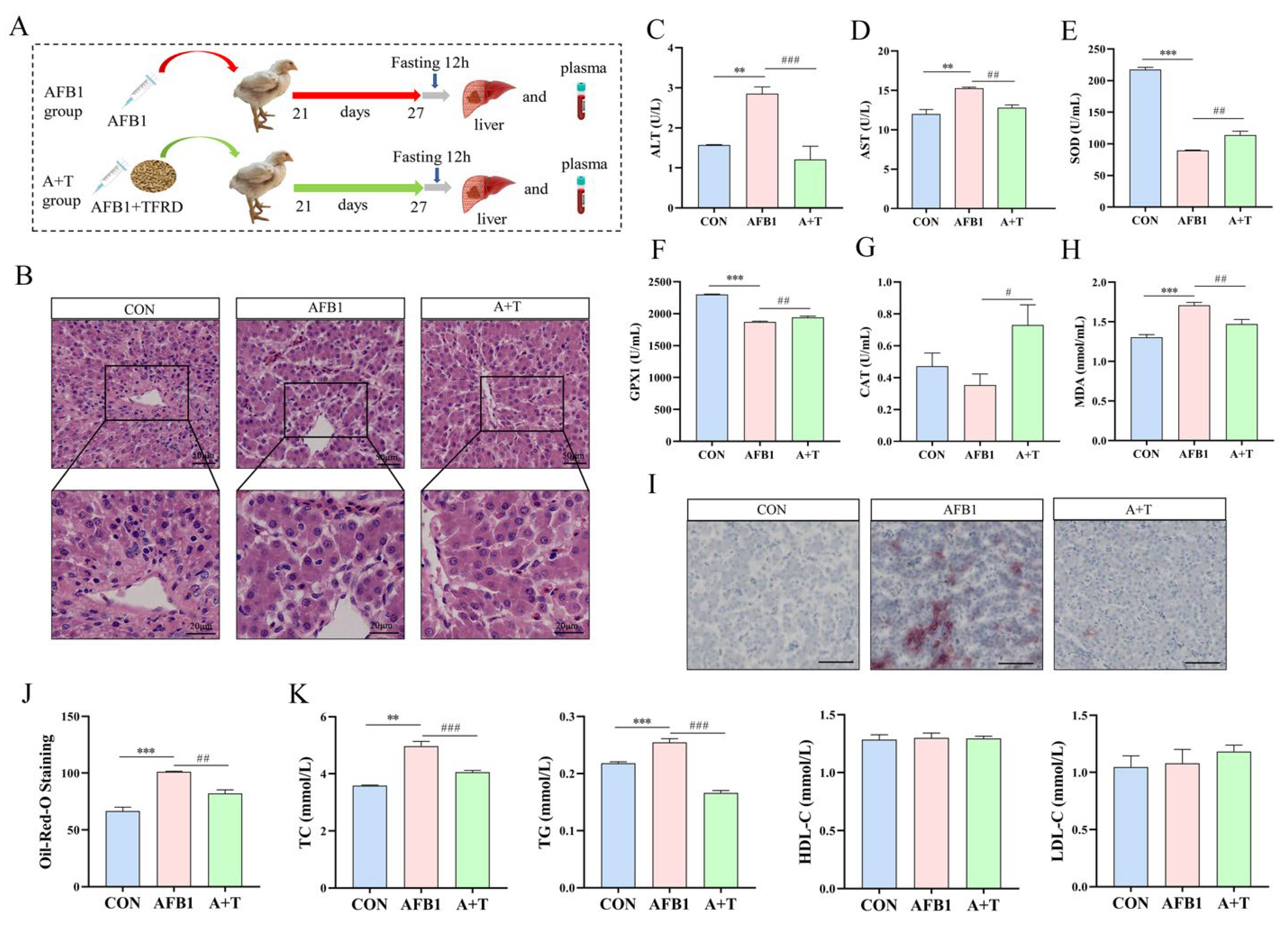 Antioxidants 12 00819 g006