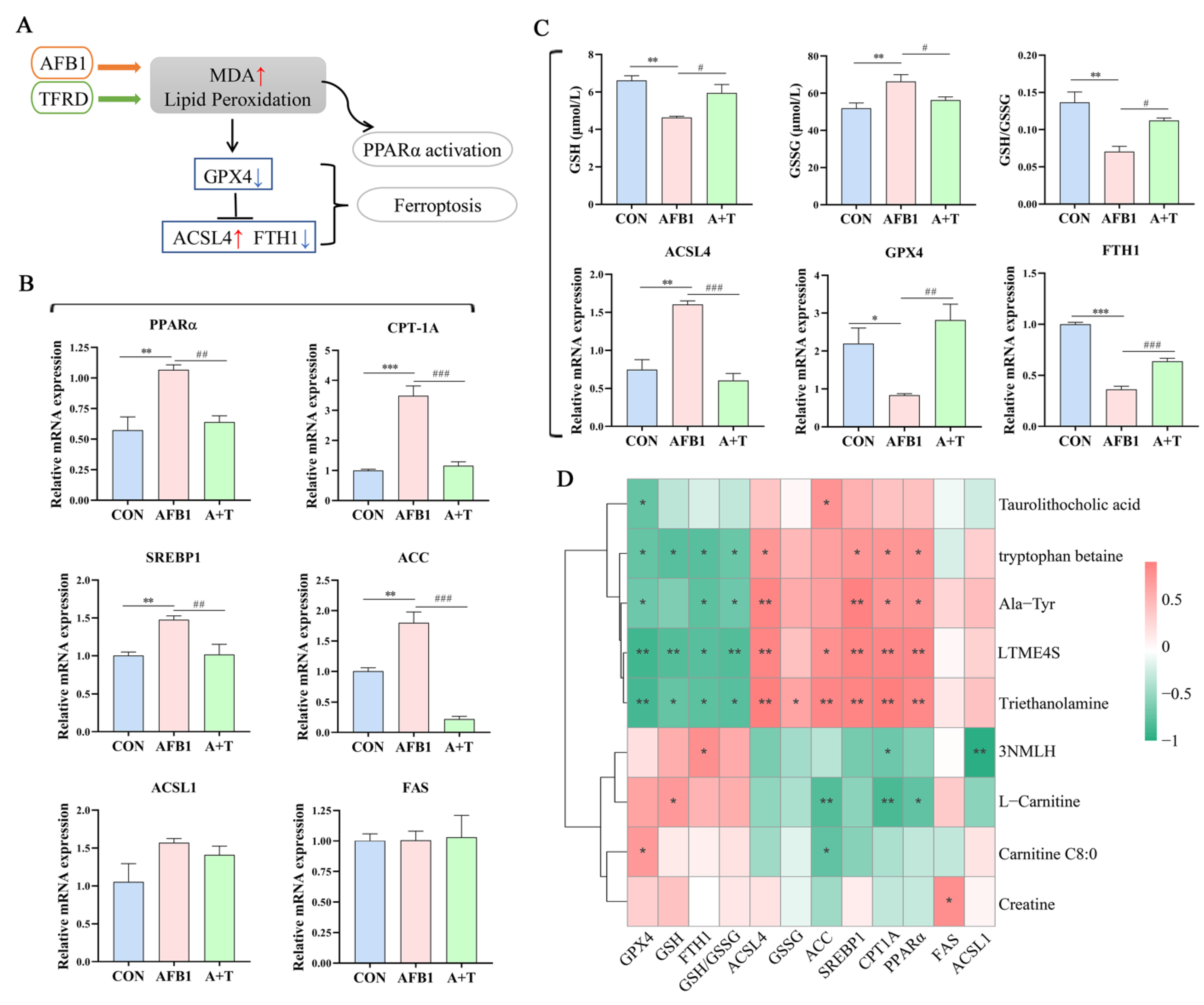 Antioxidants 12 00819 g007