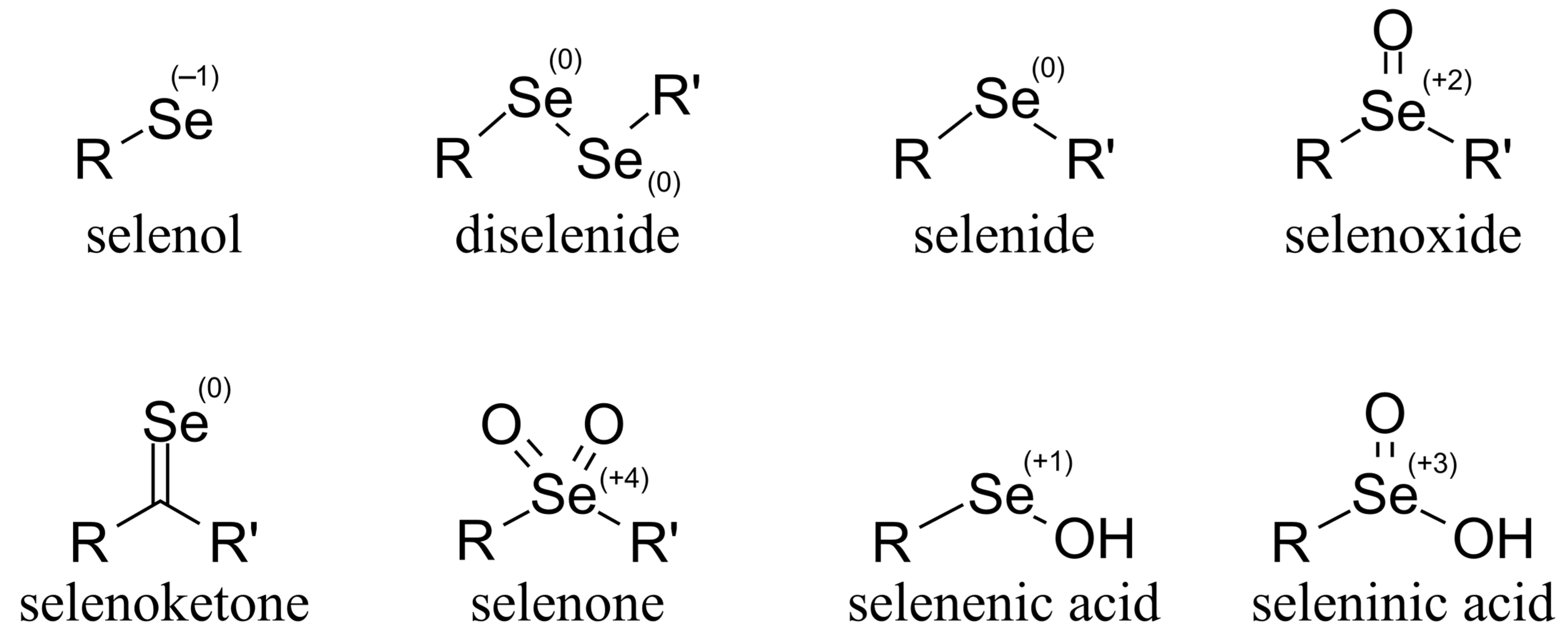 Antioxidants 12 00822 g001