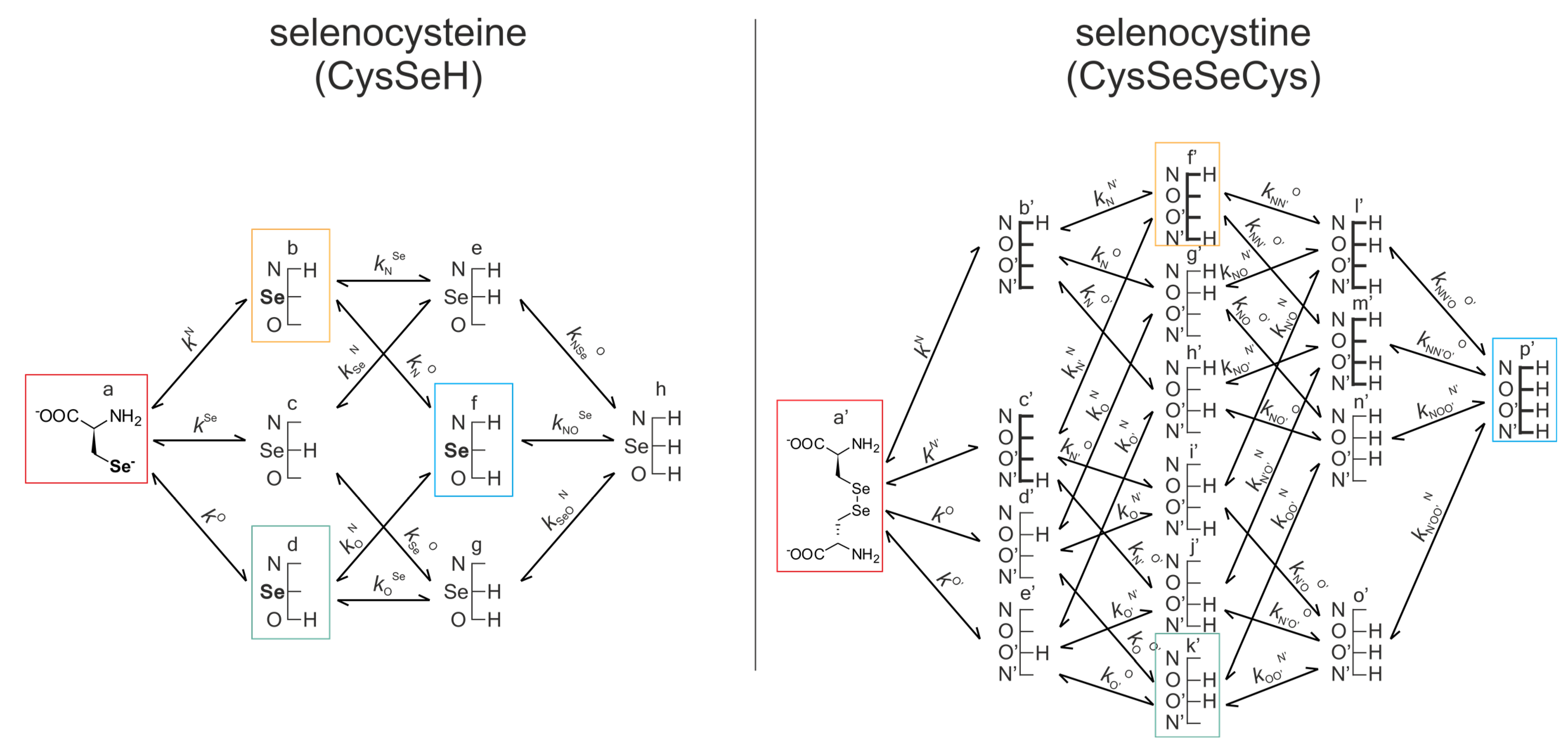 Antioxidants 12 00822 g007