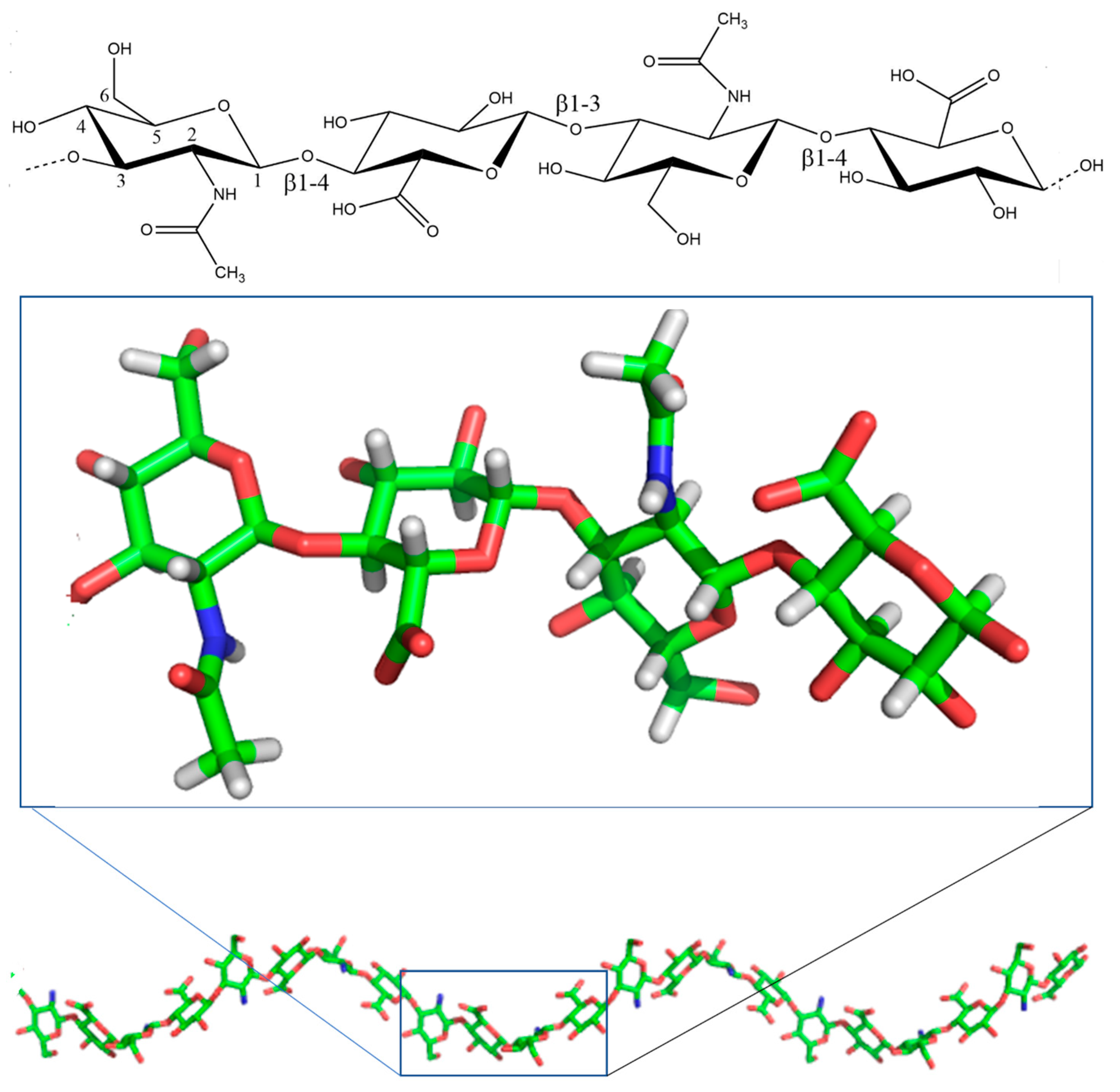 Antioxidants 12 00824 g001 Antioxidants 12 00824 g001