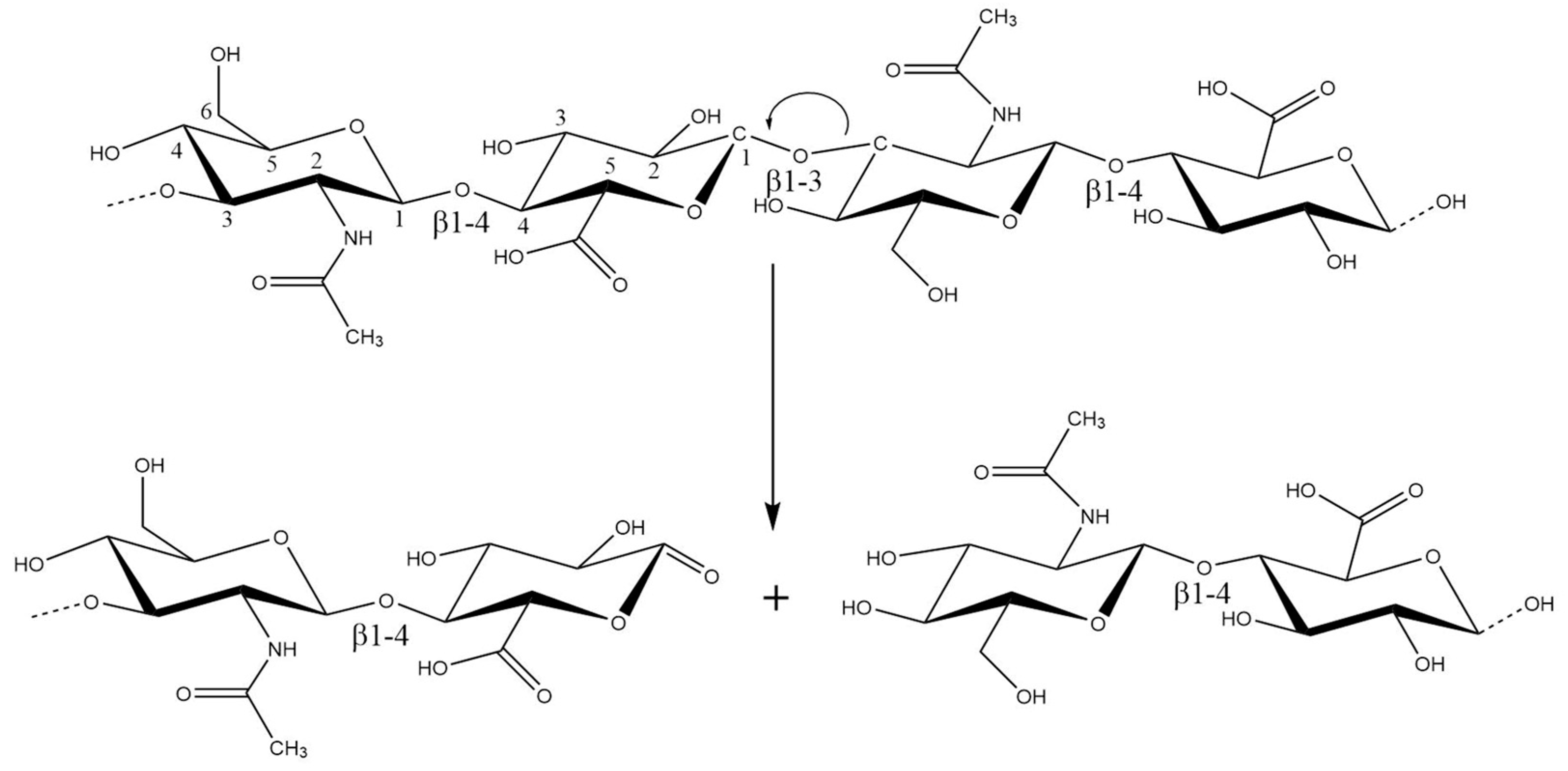 Antioxidants 12 00824 g002 Antioxidants 12 00824 g002