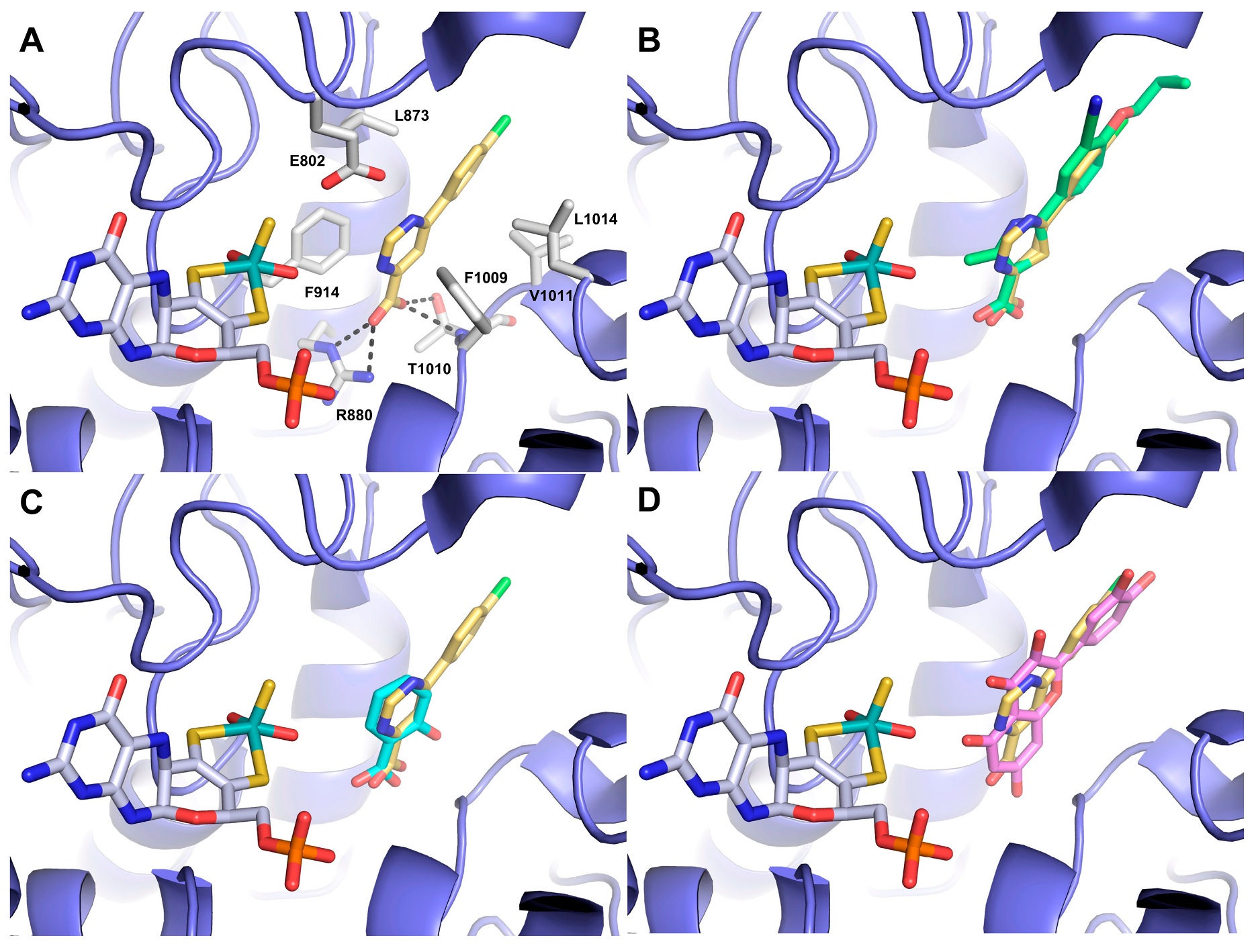 Antioxidants 12 00825 g005