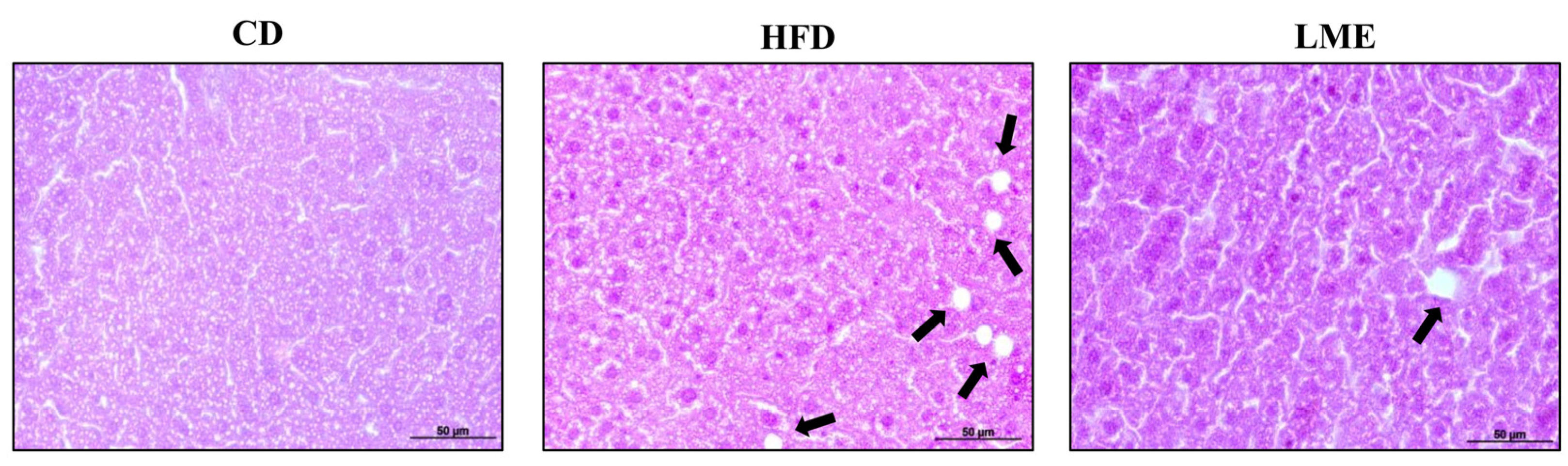 Antioxidants 12 00832 g006 Antioxidants 12 00832 g006