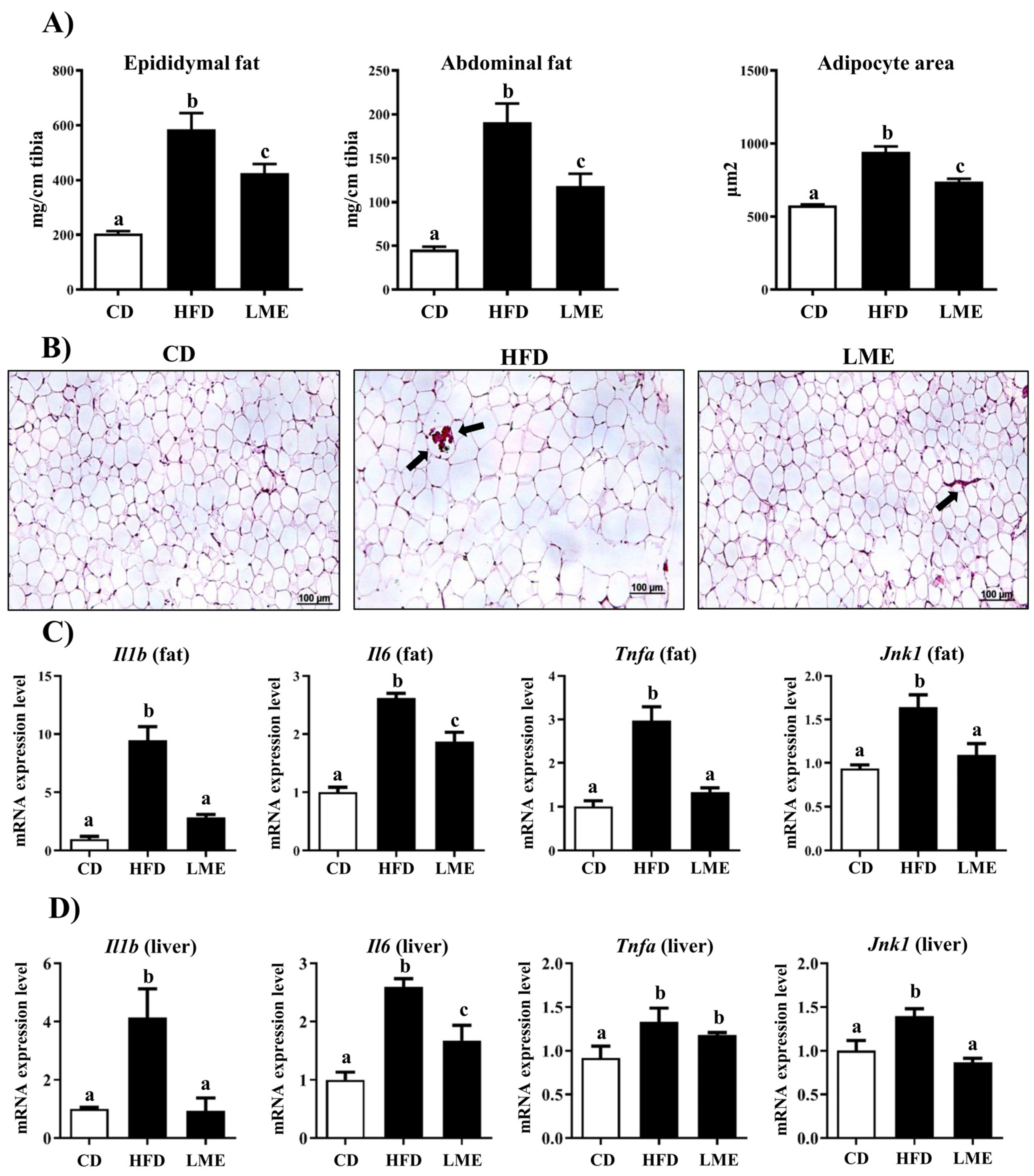 Antioxidants 12 00832 g007 Antioxidants 12 00832 g007