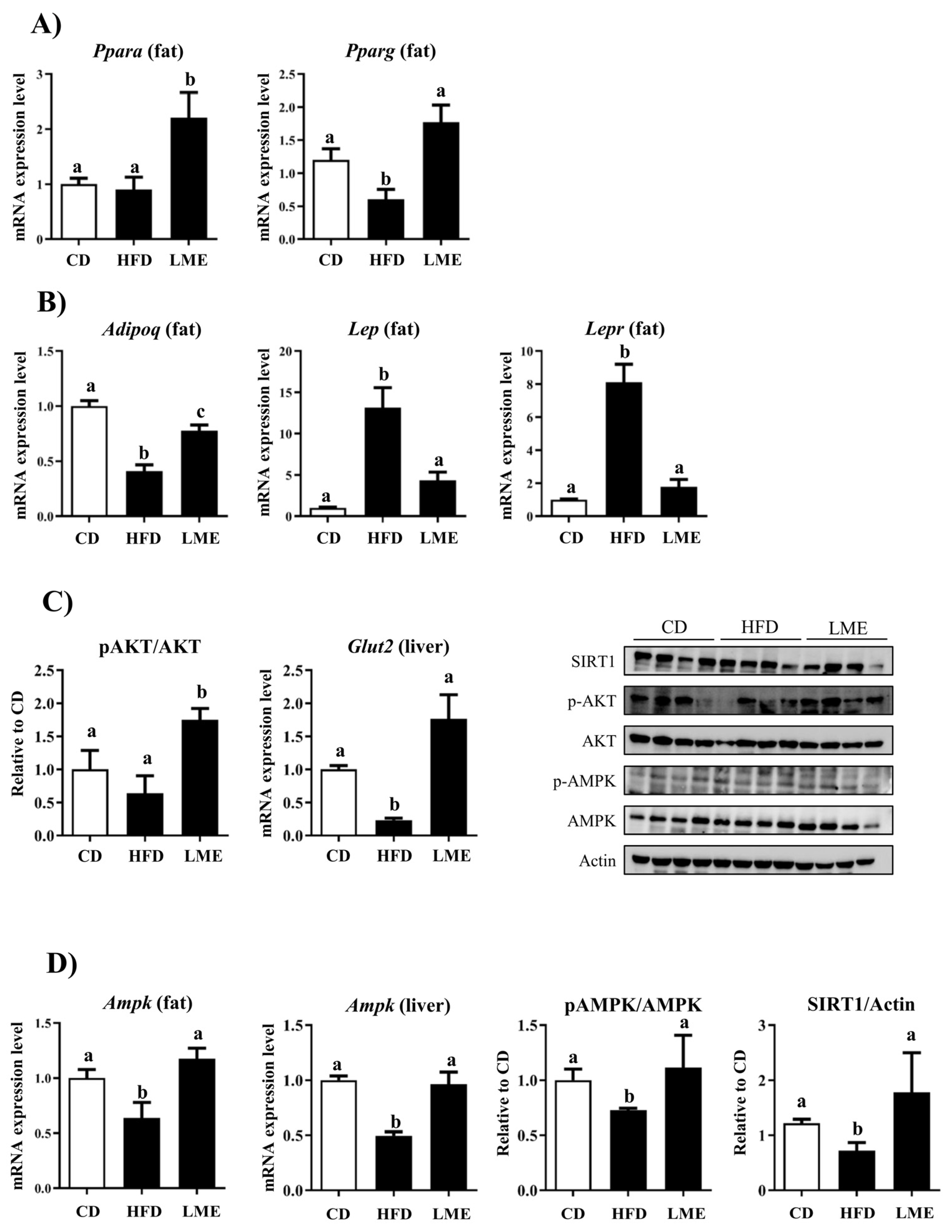 Antioxidants 12 00832 g008 Antioxidants 12 00832 g008