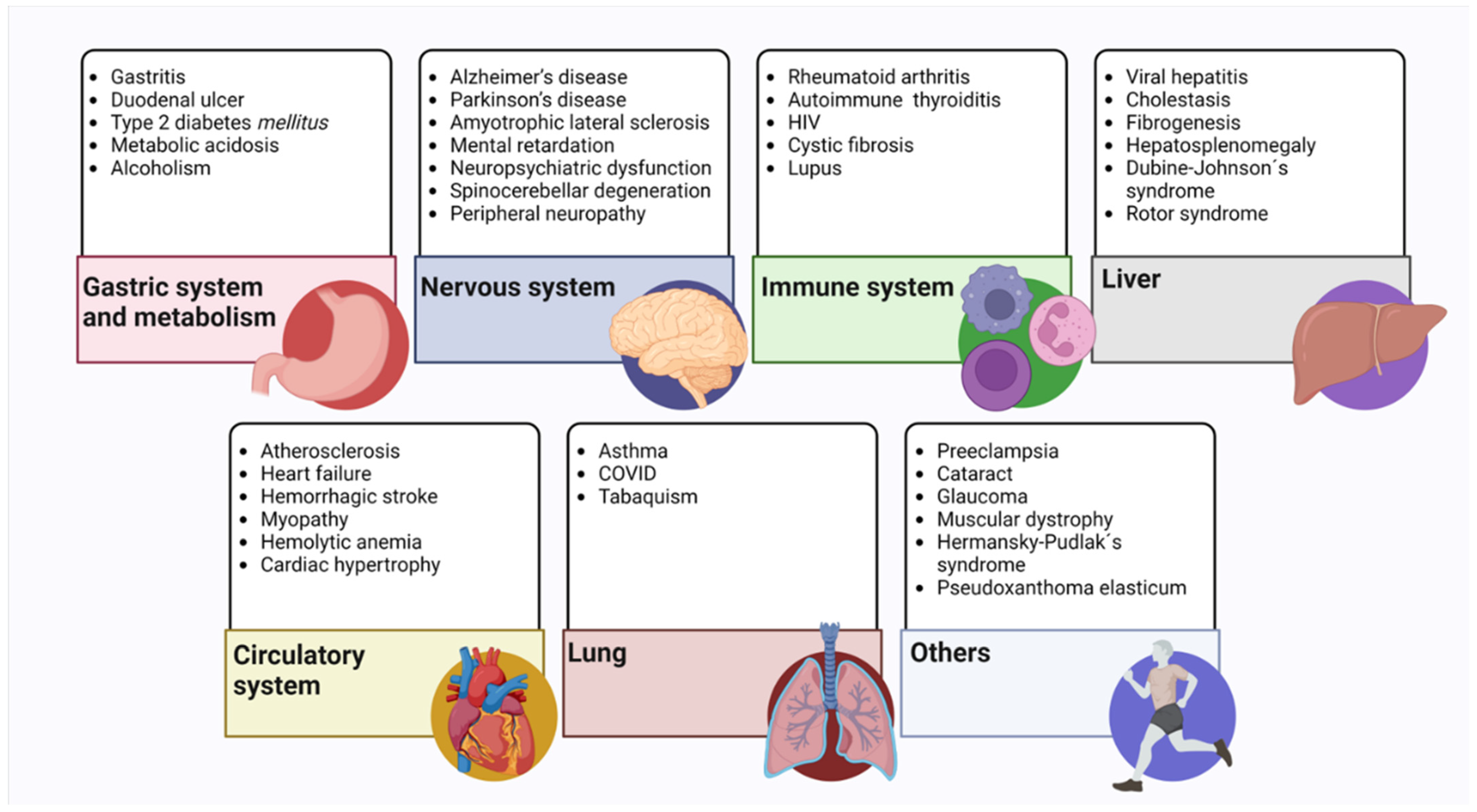Antioxidants 12 00834 g004
