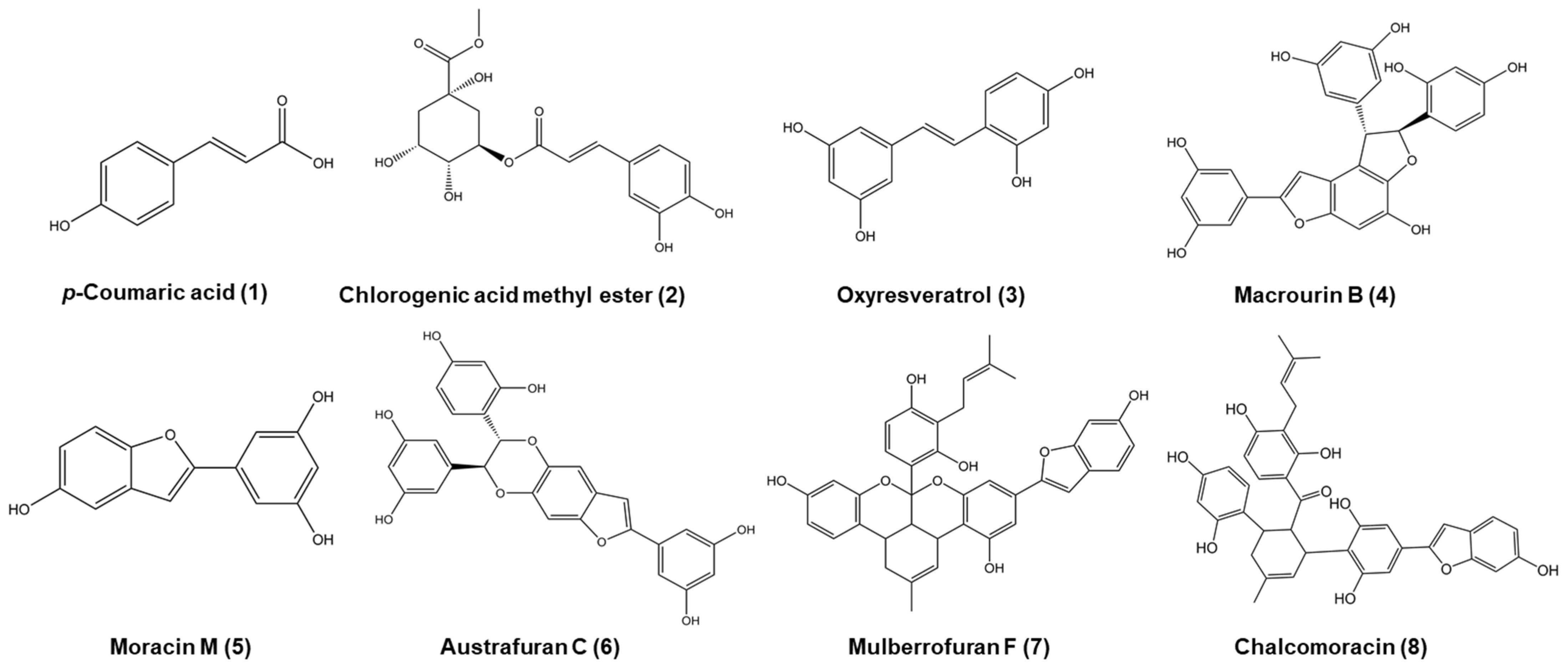 Antioxidants 12 00837 g001 Antioxidants 12 00837 g001