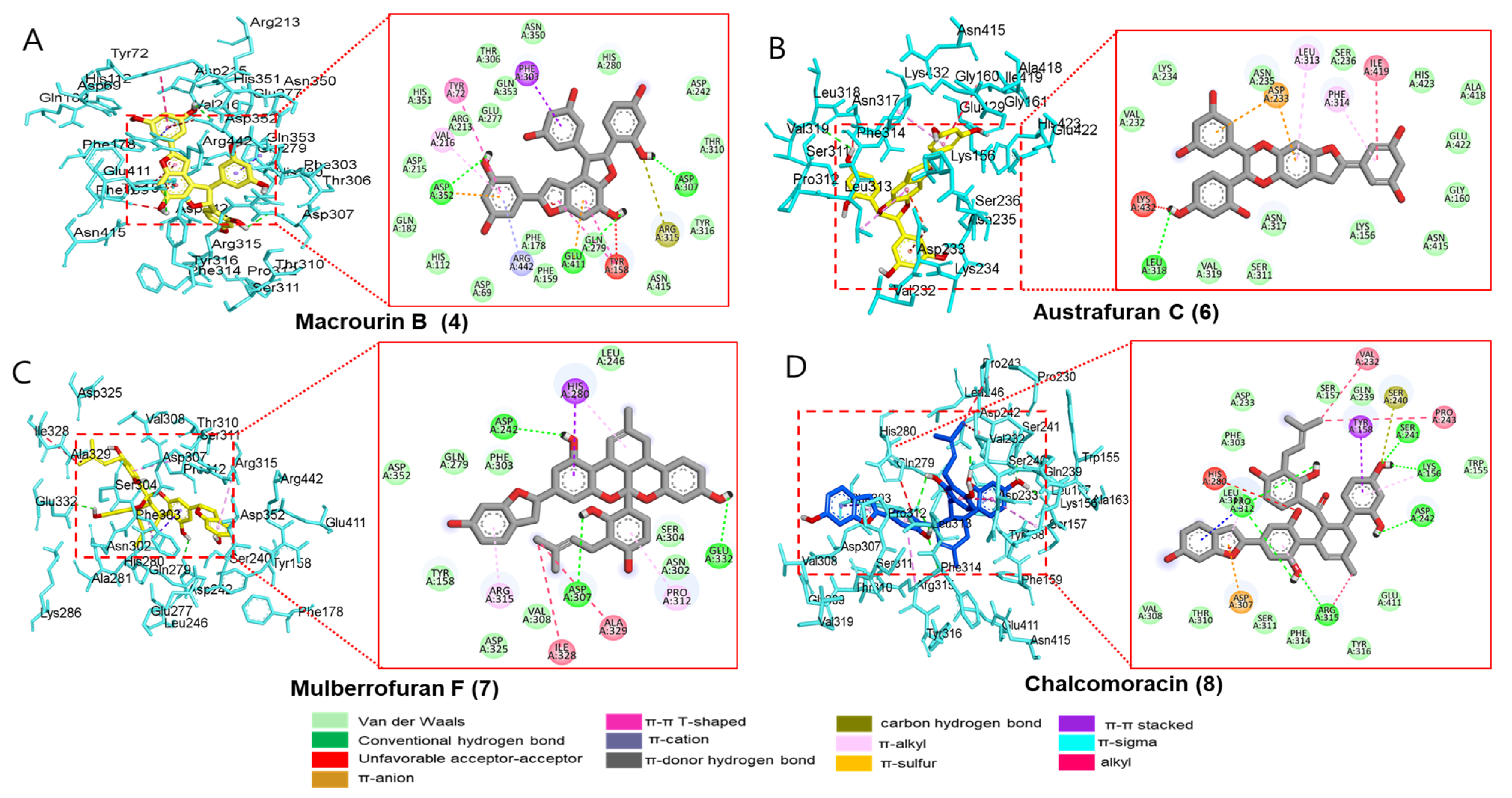 Antioxidants 12 00837 g005 Antioxidants 12 00837 g005