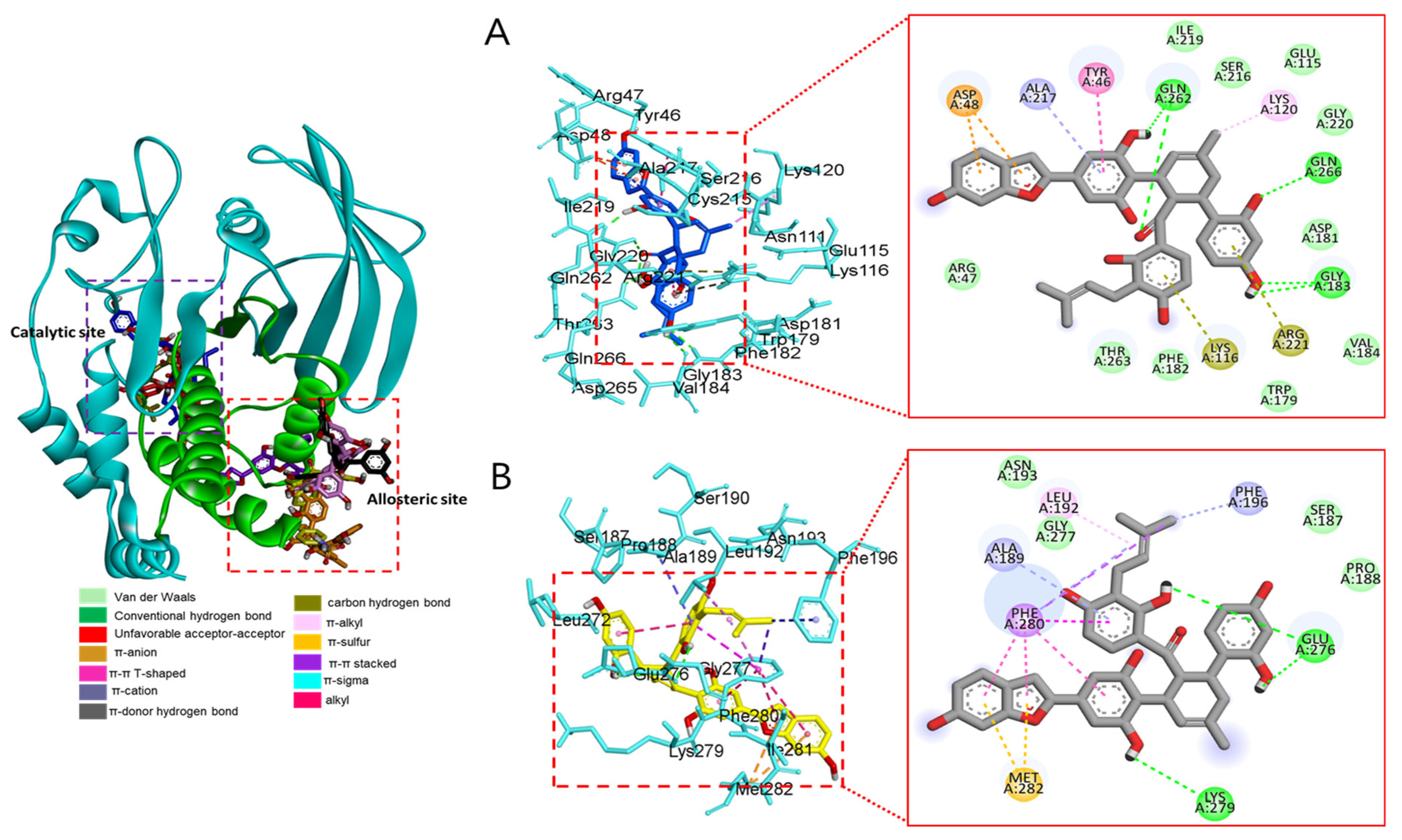 Antioxidants 12 00837 g007 Antioxidants 12 00837 g007