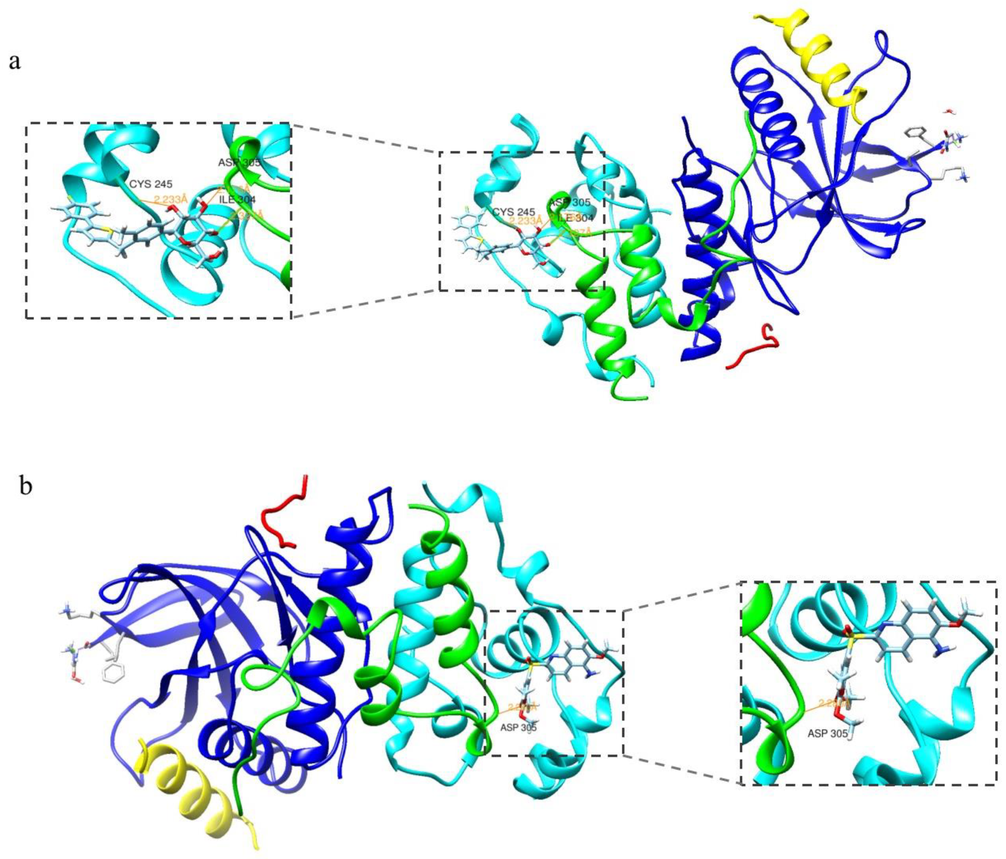 Antioxidants 12 00838 g002 Antioxidants 12 00838 g002