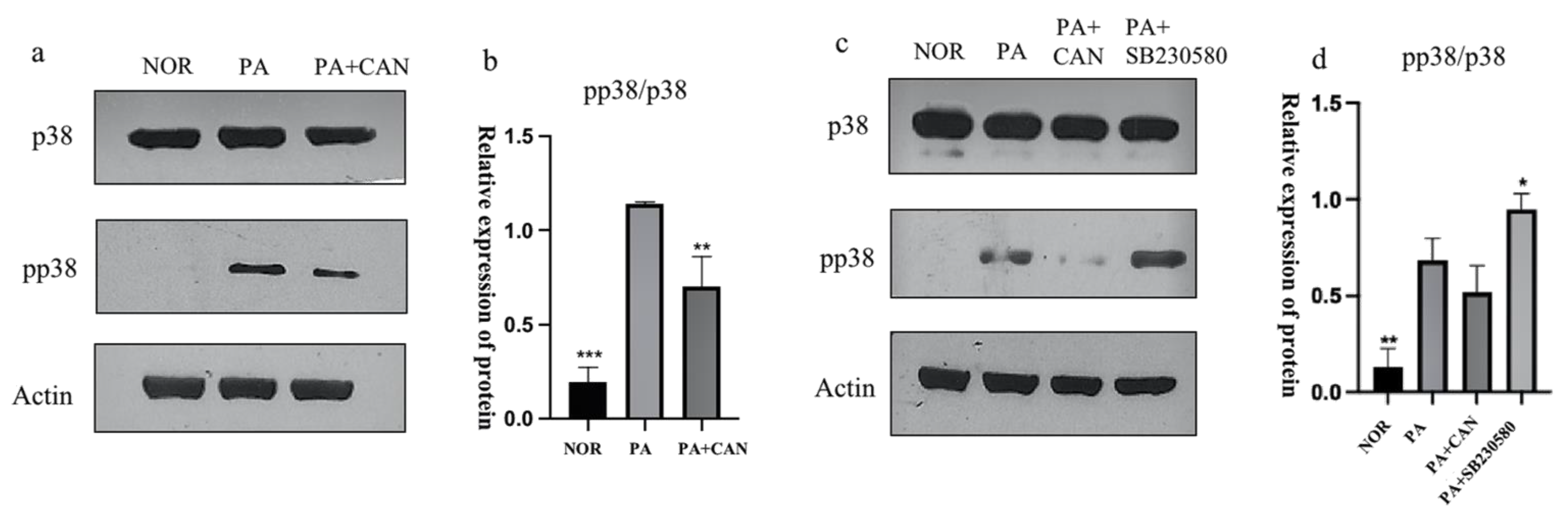 Antioxidants 12 00838 g006 Antioxidants 12 00838 g006
