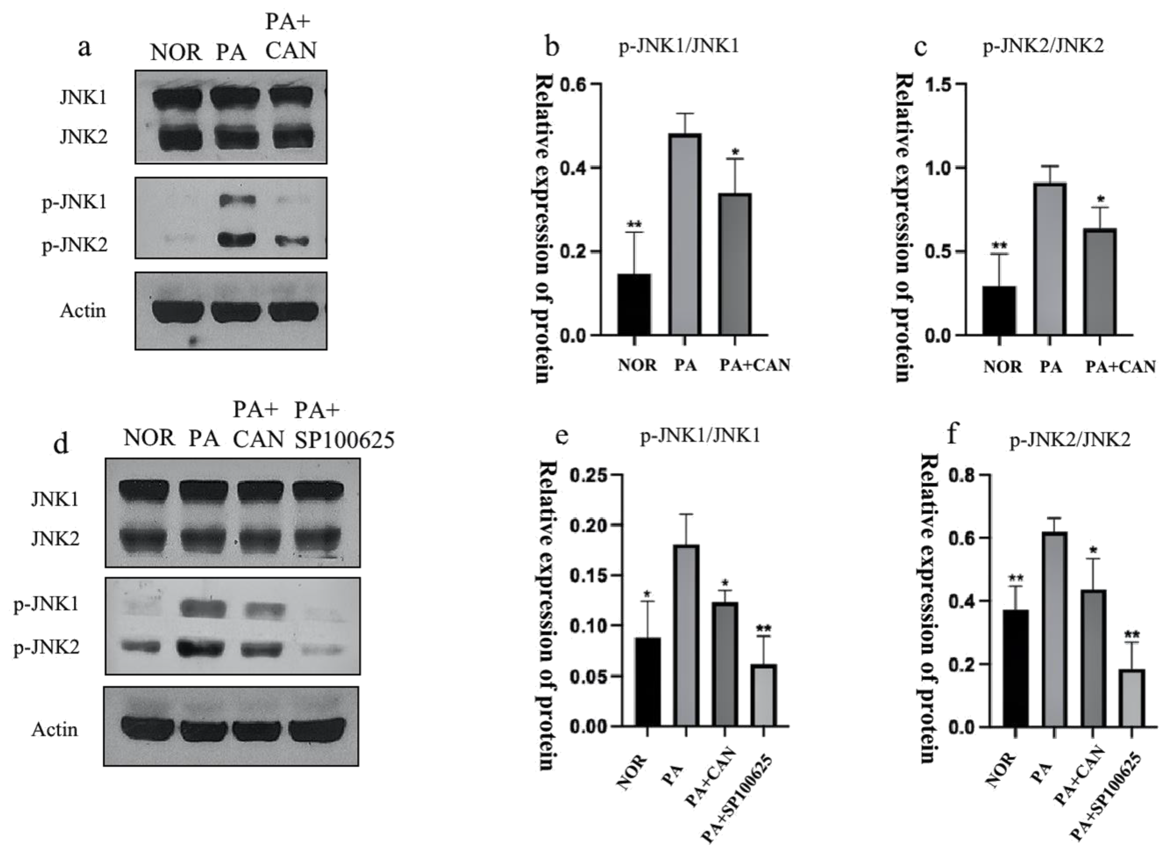 Antioxidants 12 00838 g008 Antioxidants 12 00838 g008