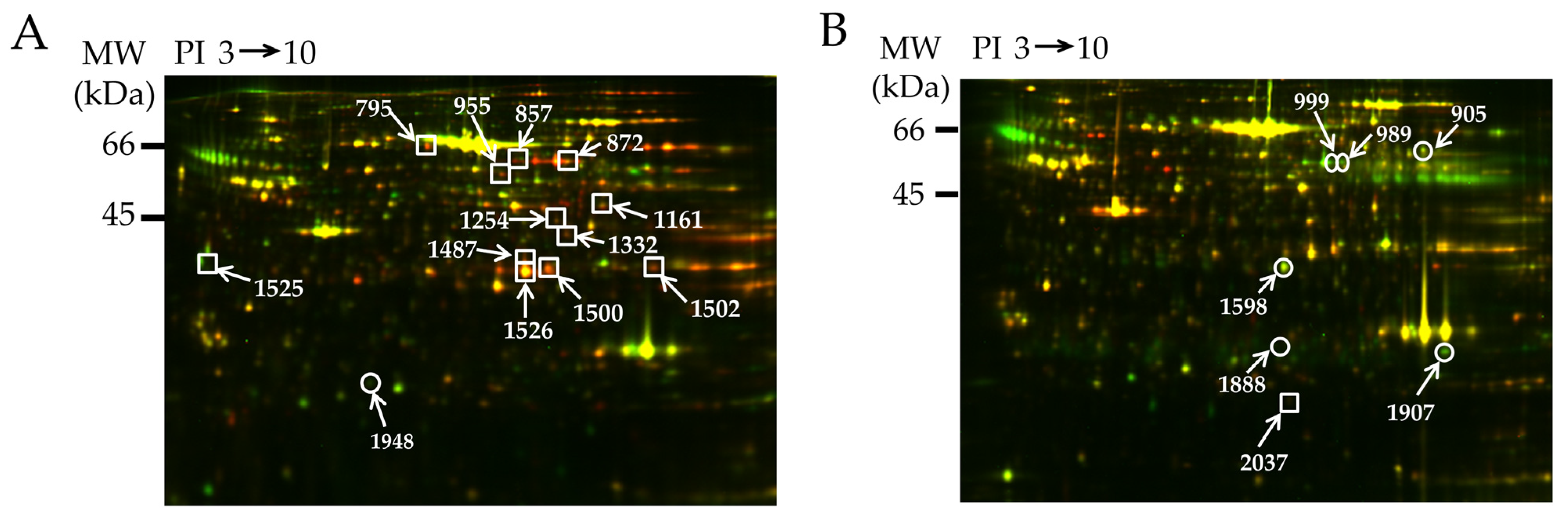 Antioxidants 12 00844 g002