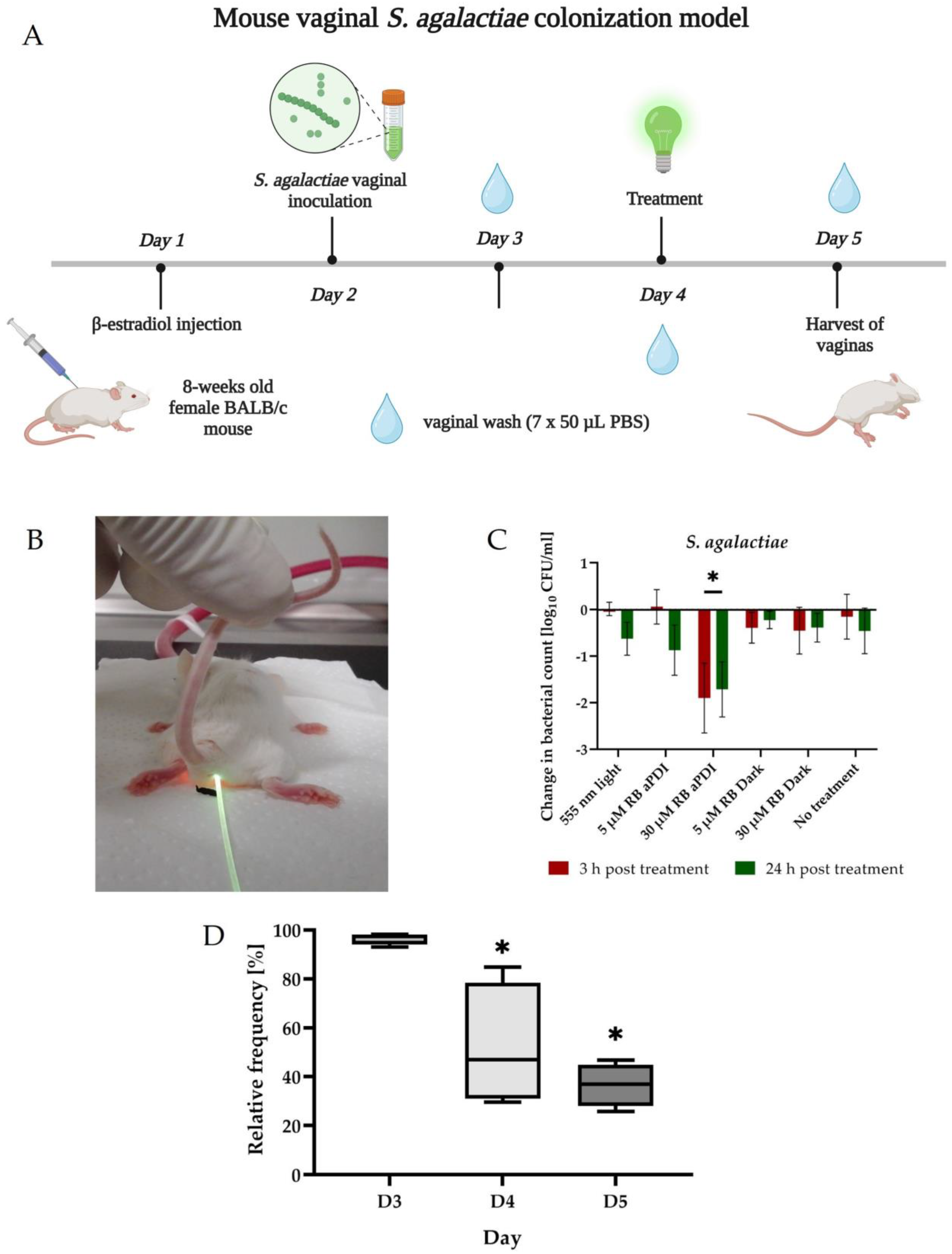 Antioxidants 12 00847 g003 Antioxidants 12 00847 g003